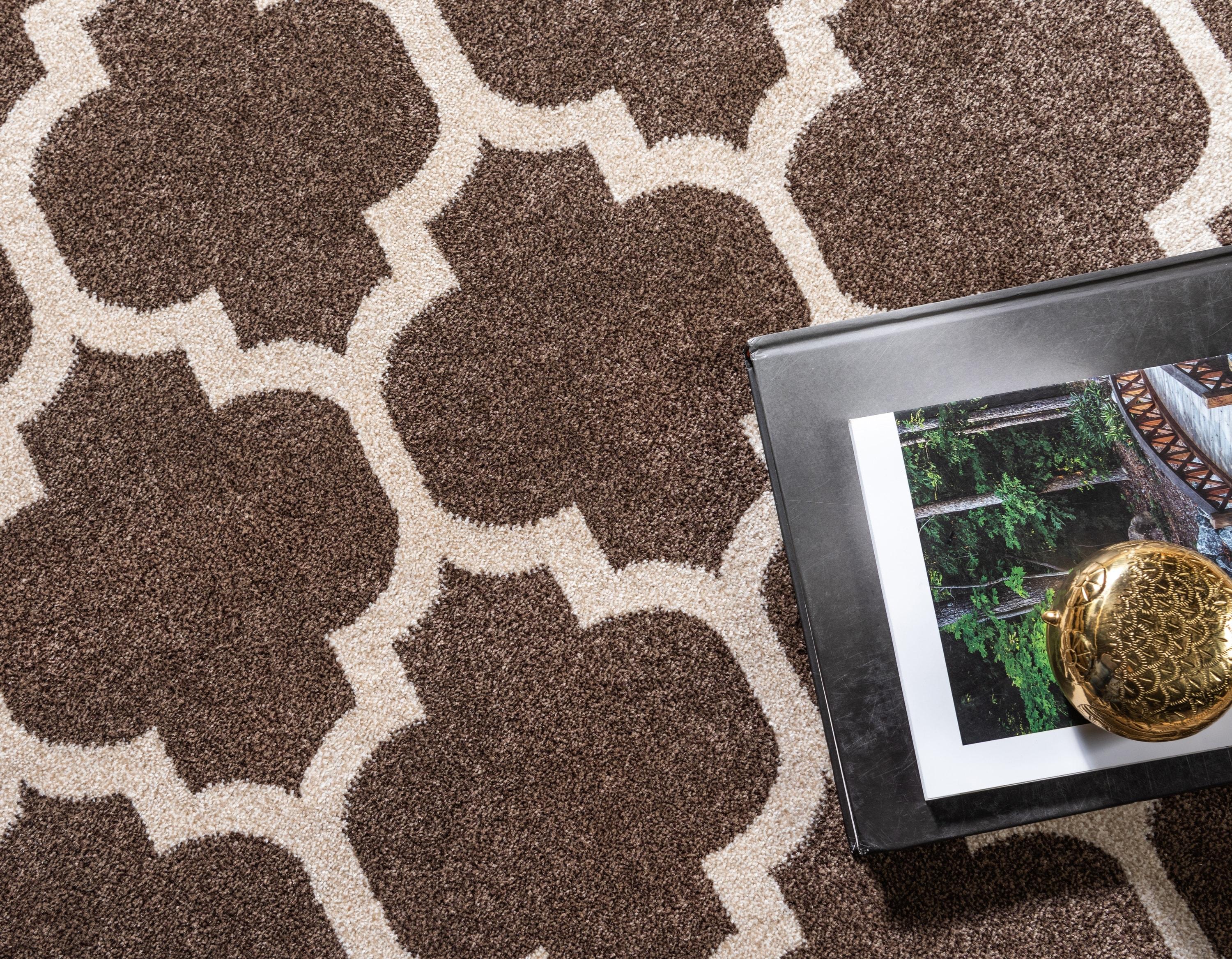 Unique Loom 4' 1 x 6' 1 Trellis Philadelphia Brown Area Rug
