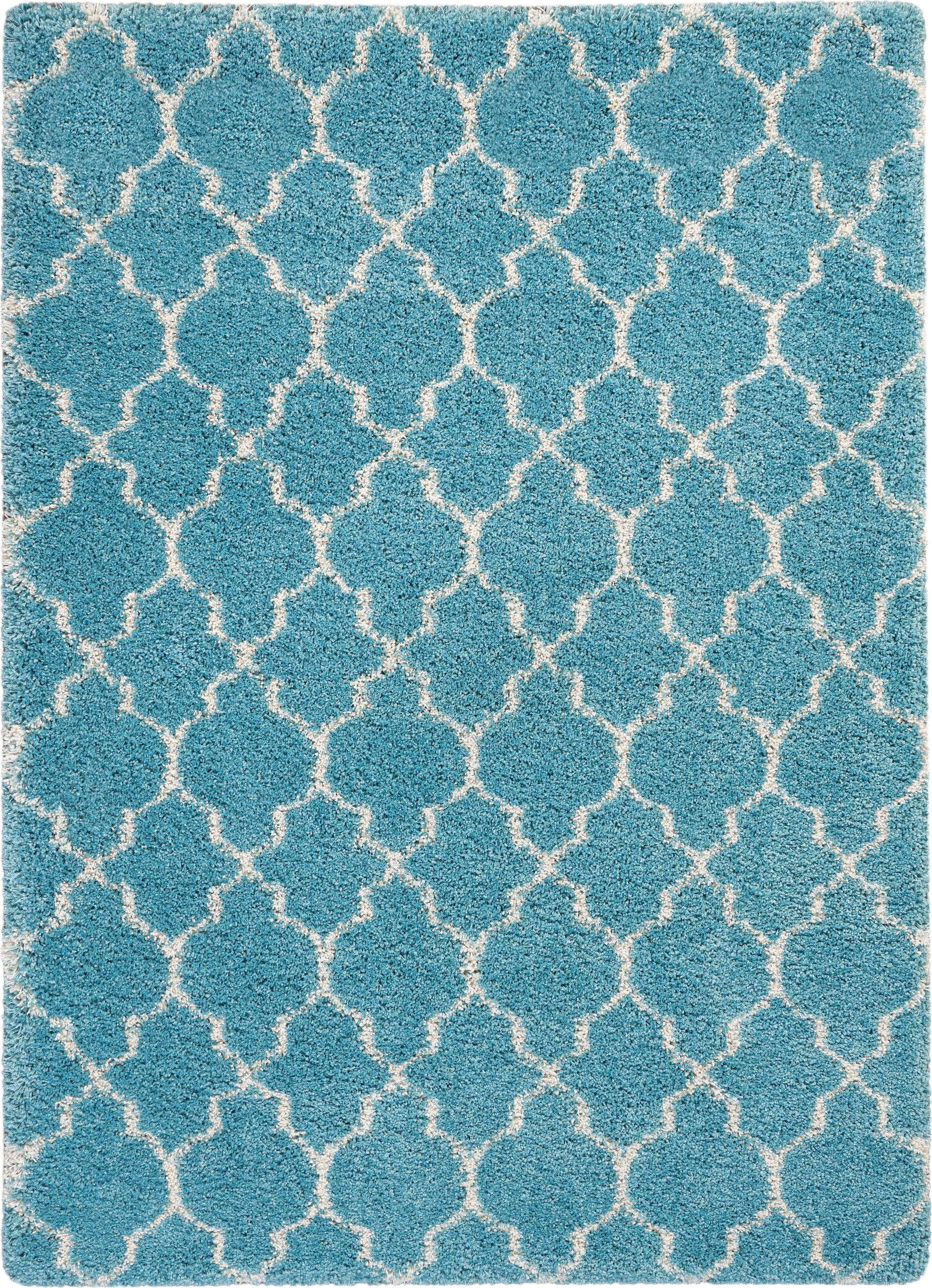 Amore Aqua 5' x 7' Rectangular Shag Area Rug