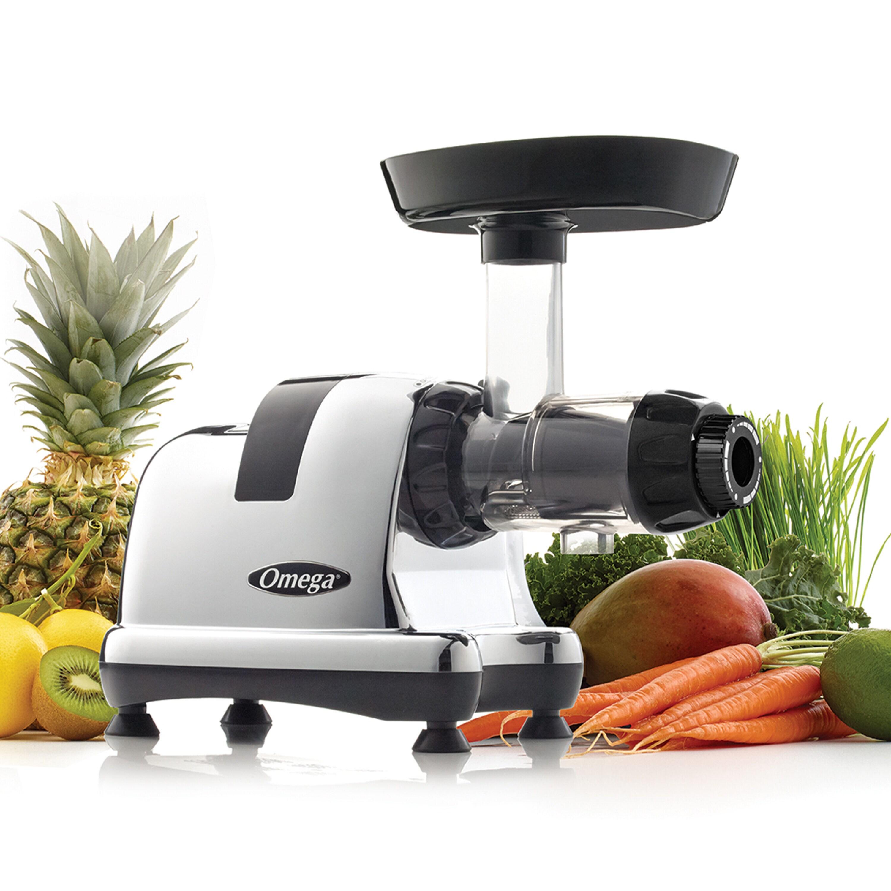 Omega Omega Cold Press Slow Masticating Juicer