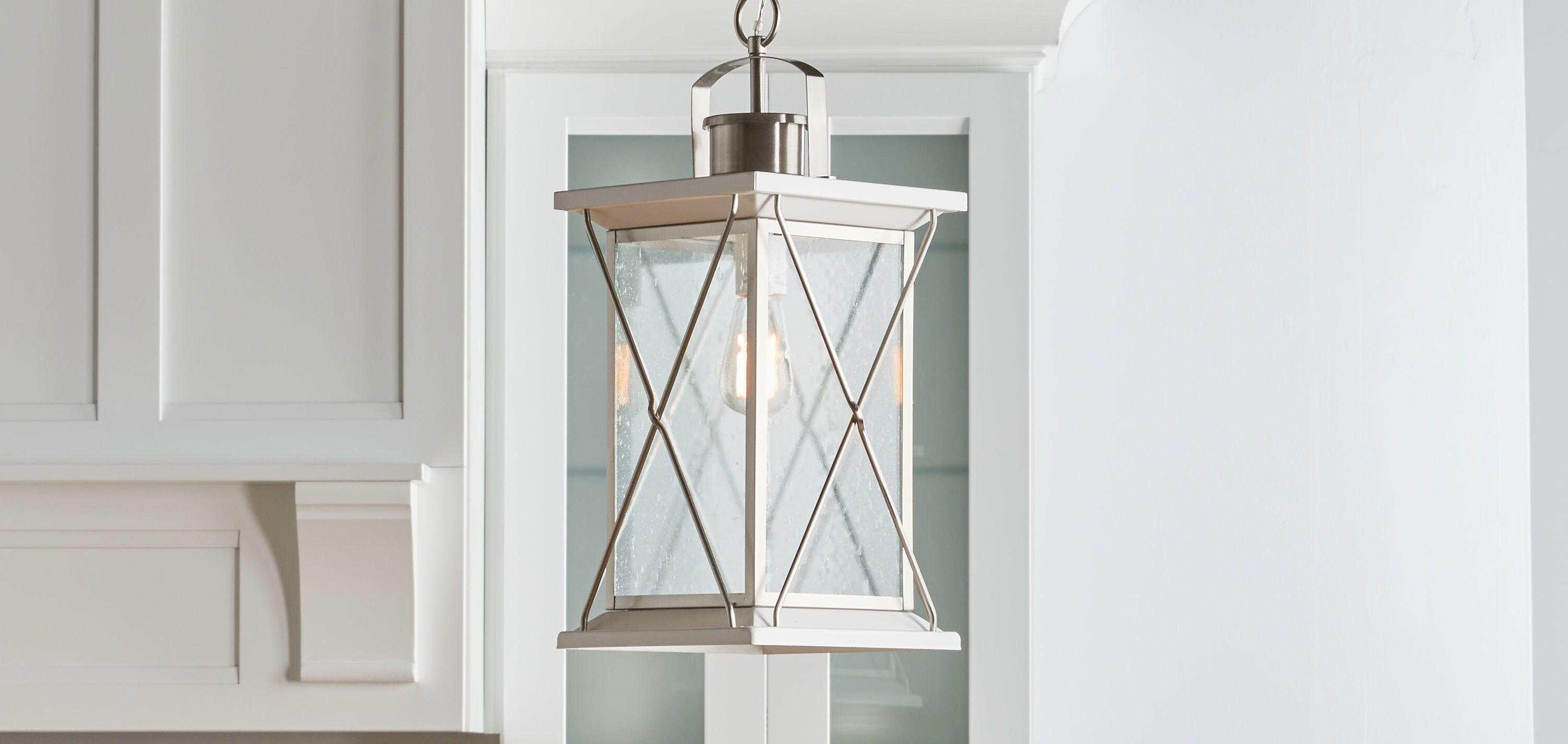 Progress Lighting Barlowe 1-Light Outdoor Hanging Lantern, Stainless Steel, Seeded Glass