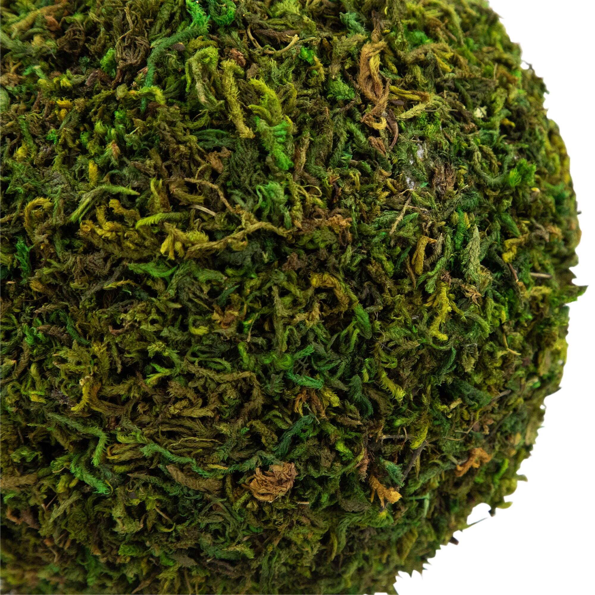 Northlight Seasonal Green Reindeer Moss Ball Potted Artificial Spring Topiary Tree