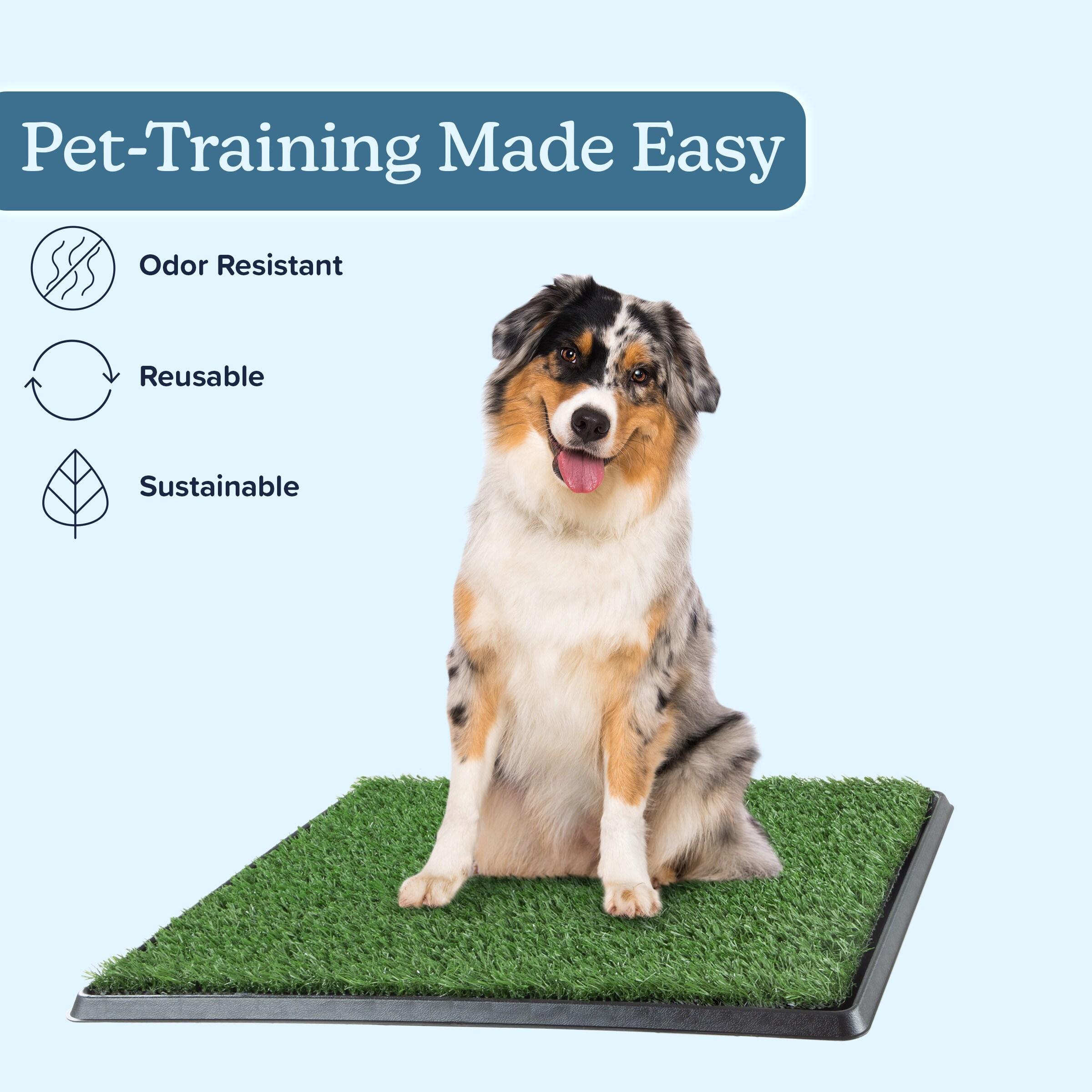 Pet Adobe Artificial Grass Potty Trainer Mat 20x25