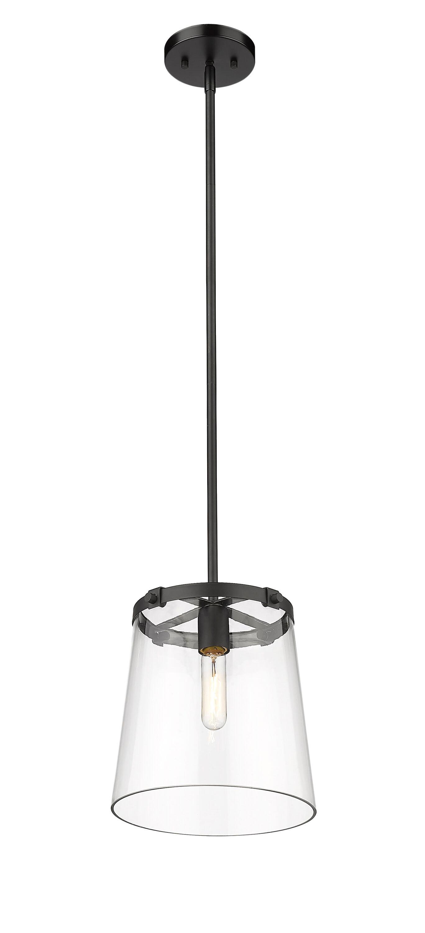 Z-Lite Callista 1 - Light Pendant in  Matte Black