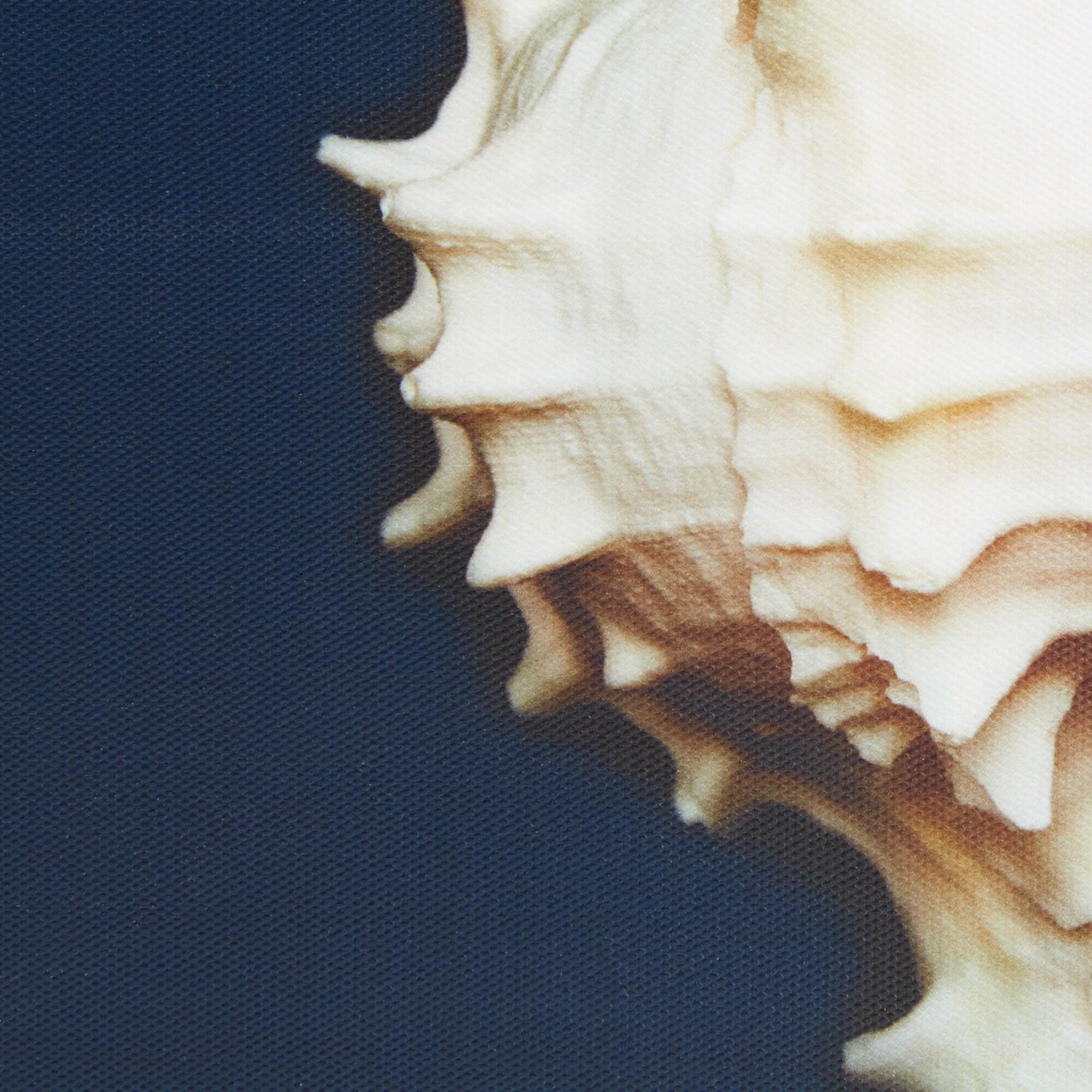 Highland Dunes " Ocean Seashells " by Julie Greenwood 4 - Pieces