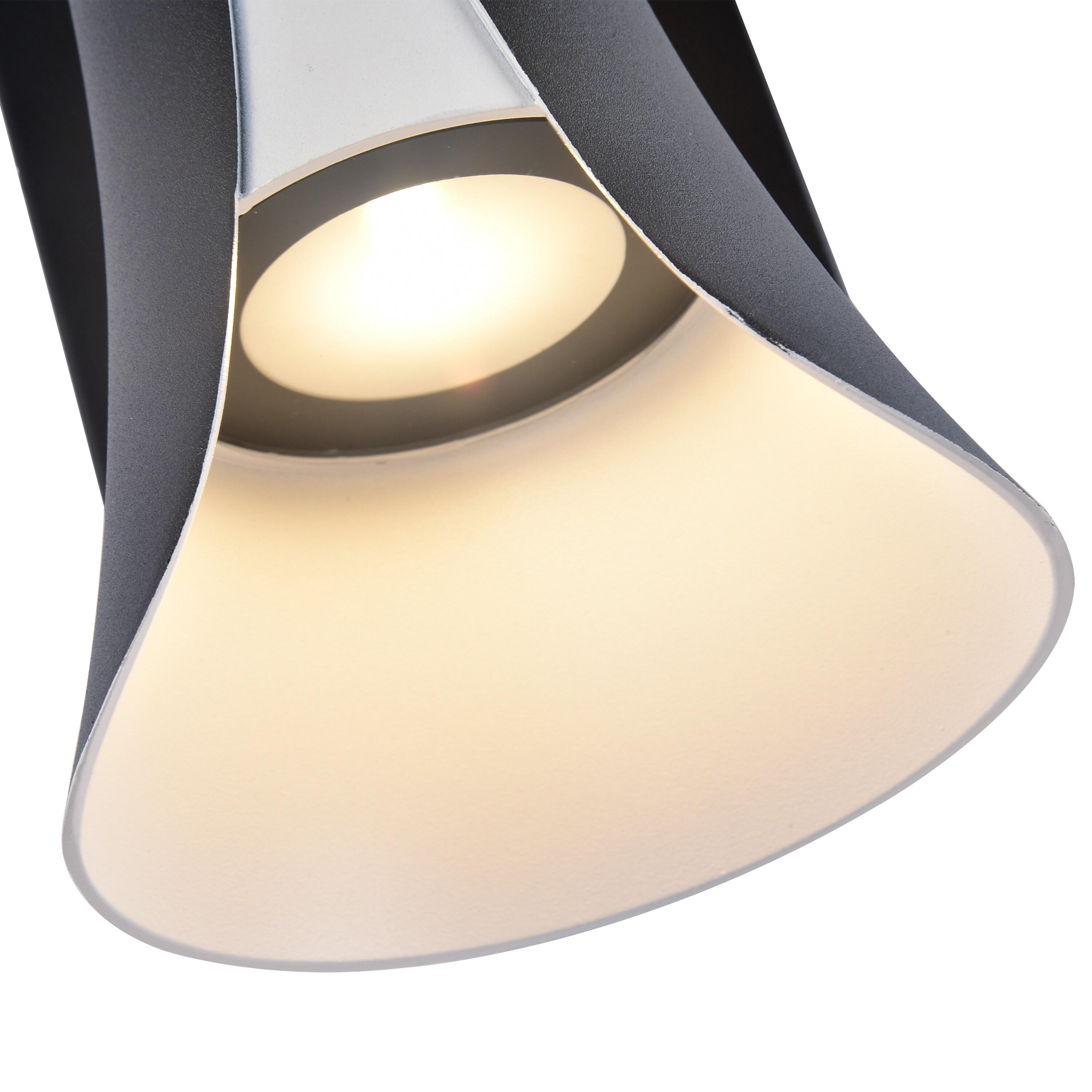 C Cattleya LED 2-Light Outdoor Wall Sconce, Wall Light Fixture-Black and White Finish