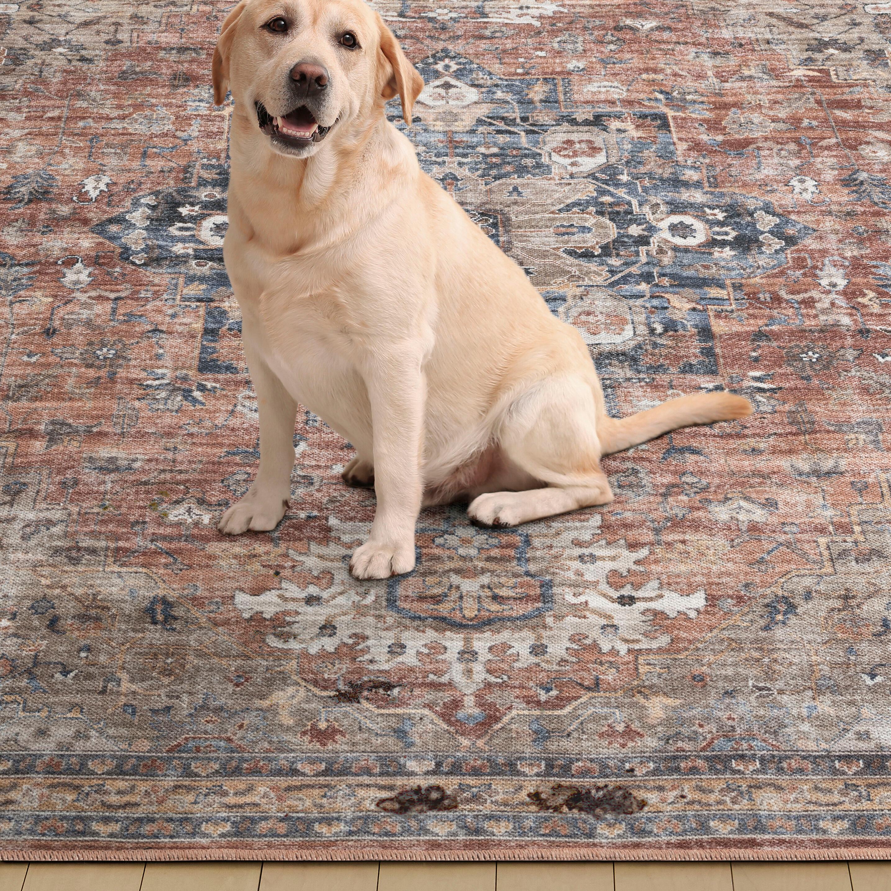Everwash™ Callaghan Esther Bohemian Medallion Machine Washable Area Rug, Rust/Navy Blue, 6'6"x9'2"