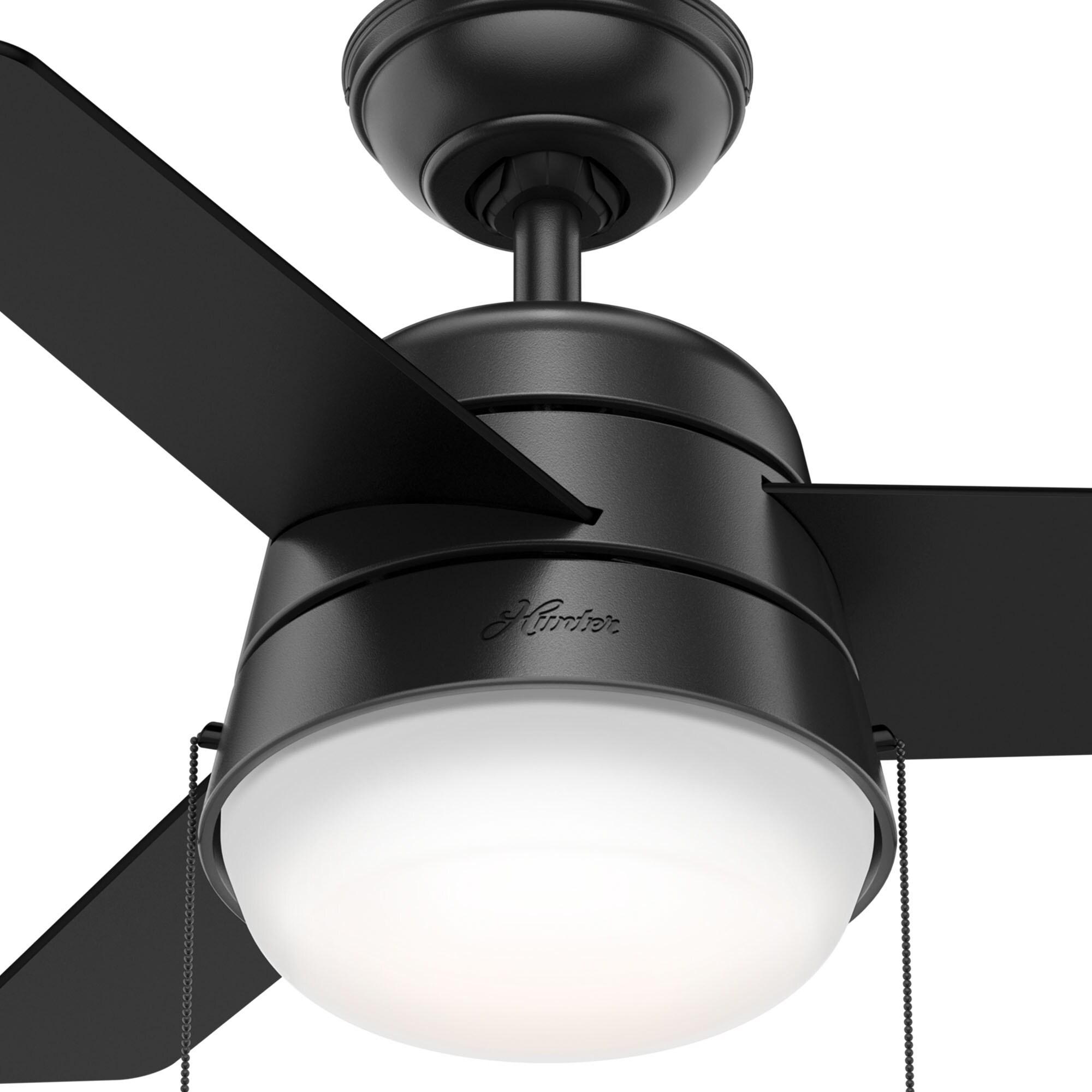Aker 36" 3 - Blade Standard Ceiling Fan with Lights and Pull Chains