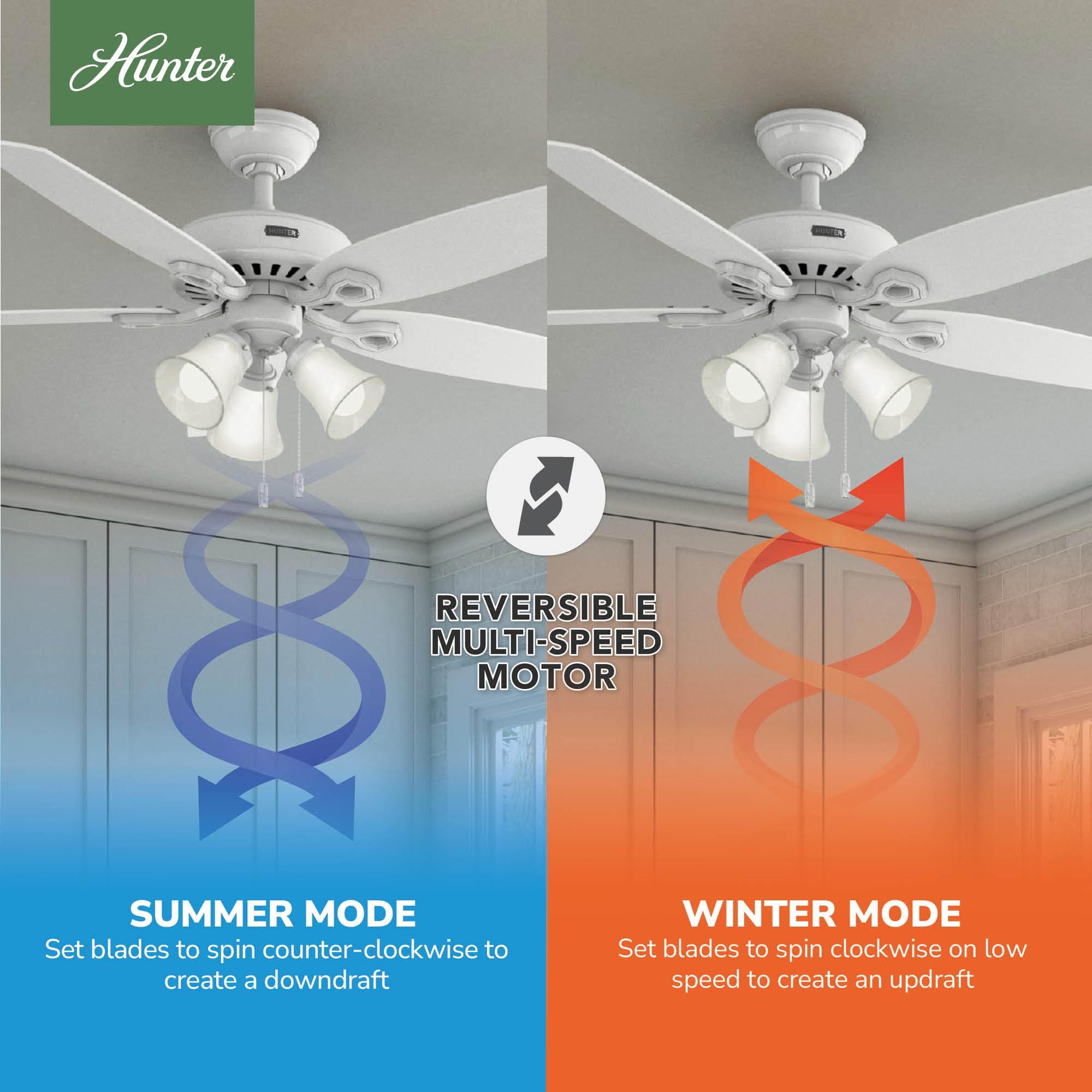 Builder Plus 52"5 - Blade Standard Ceiling Fan with Pull Chain and Light Kit Included