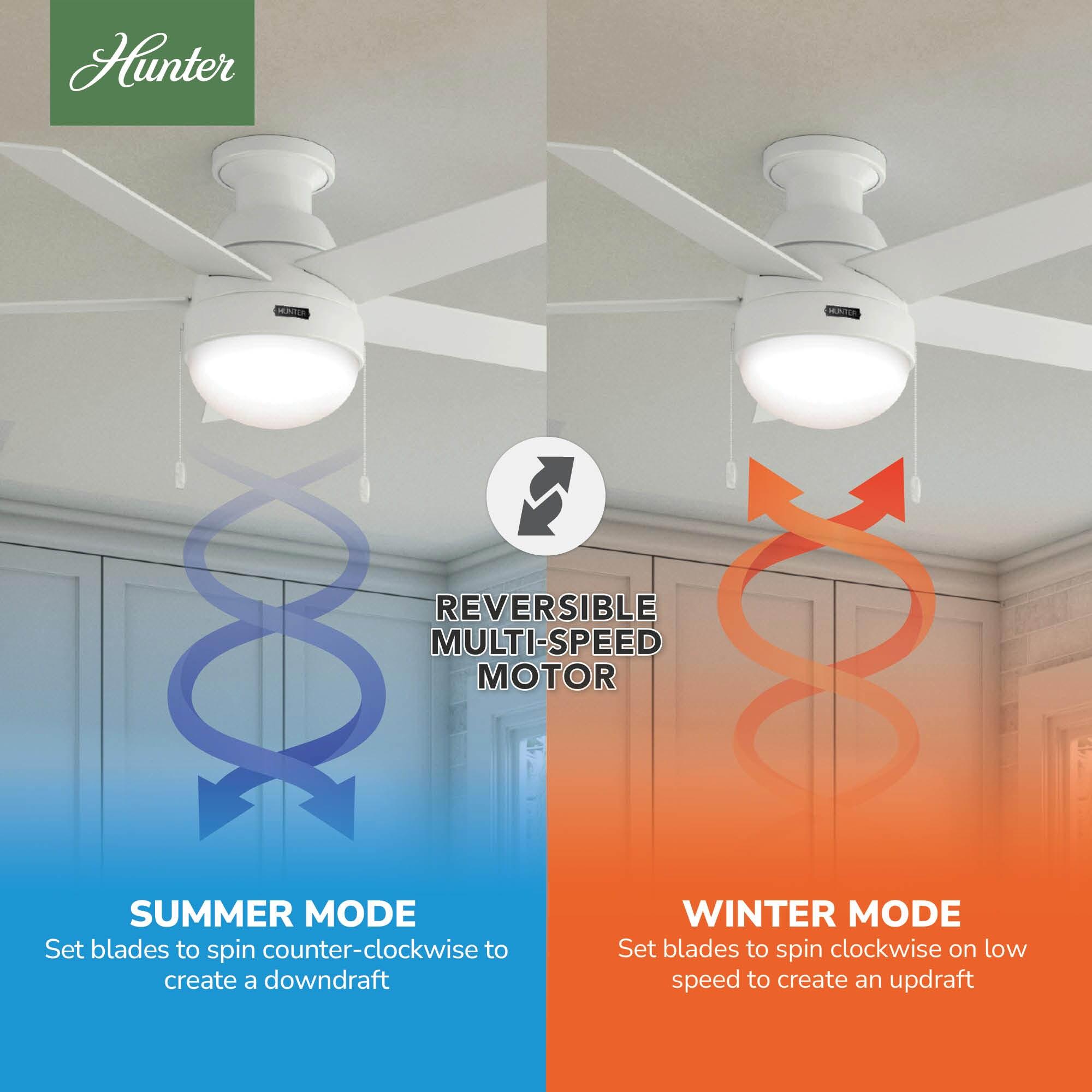 46" Anslee 5 - Blade LED Flush Mount Ceiling Fan with Pull Chain and Light Kit Included