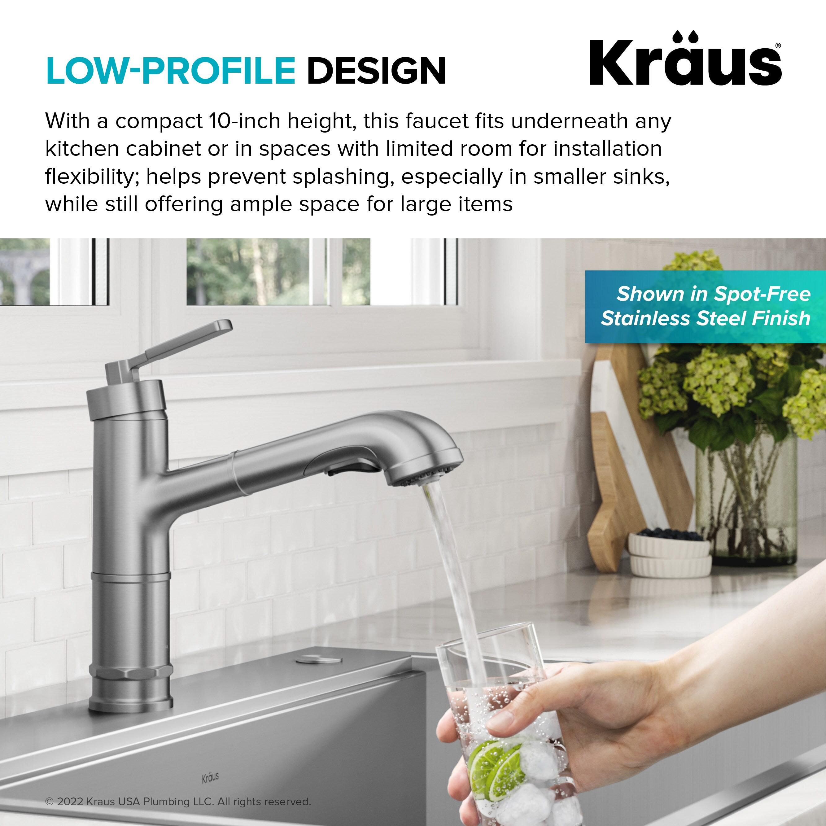 Allyn Pull-Out Single Handle Kitchen Faucet