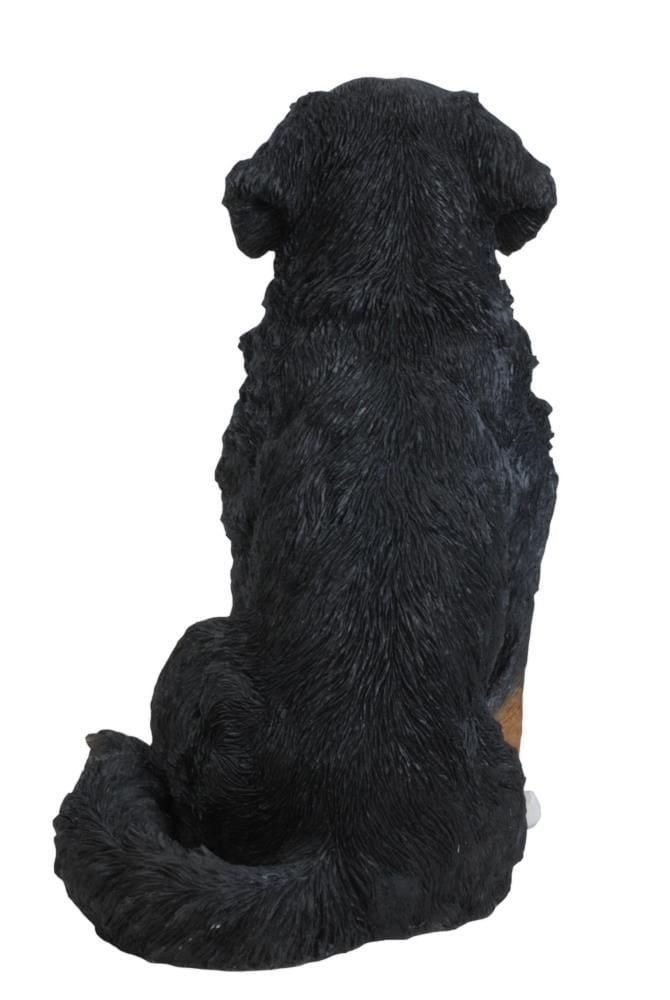 Hi-Line Gift Ltd. Bernese Mountain Dog Statue