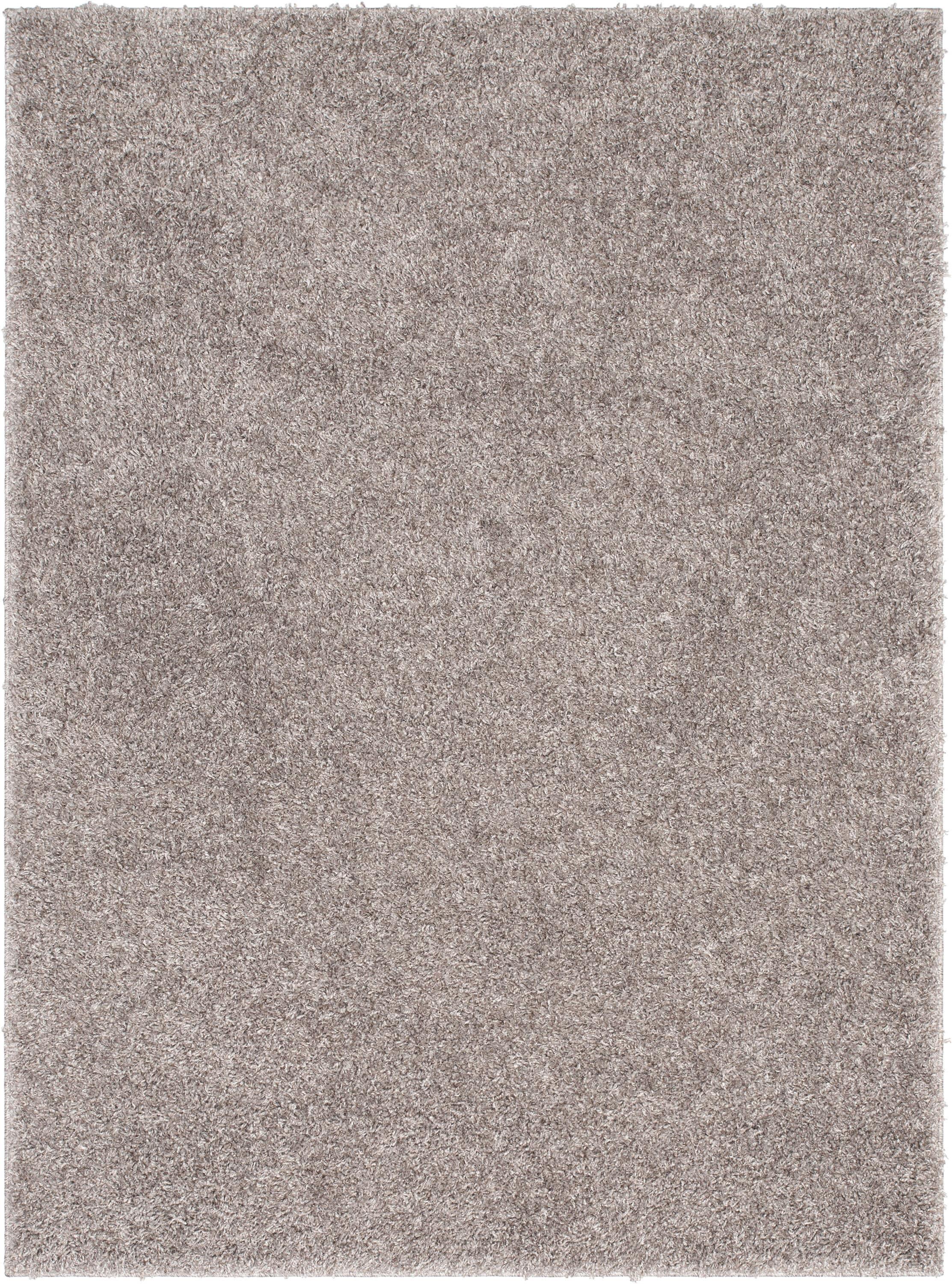 Berte Modern Solid Beige/Grey Textured Shag Rug