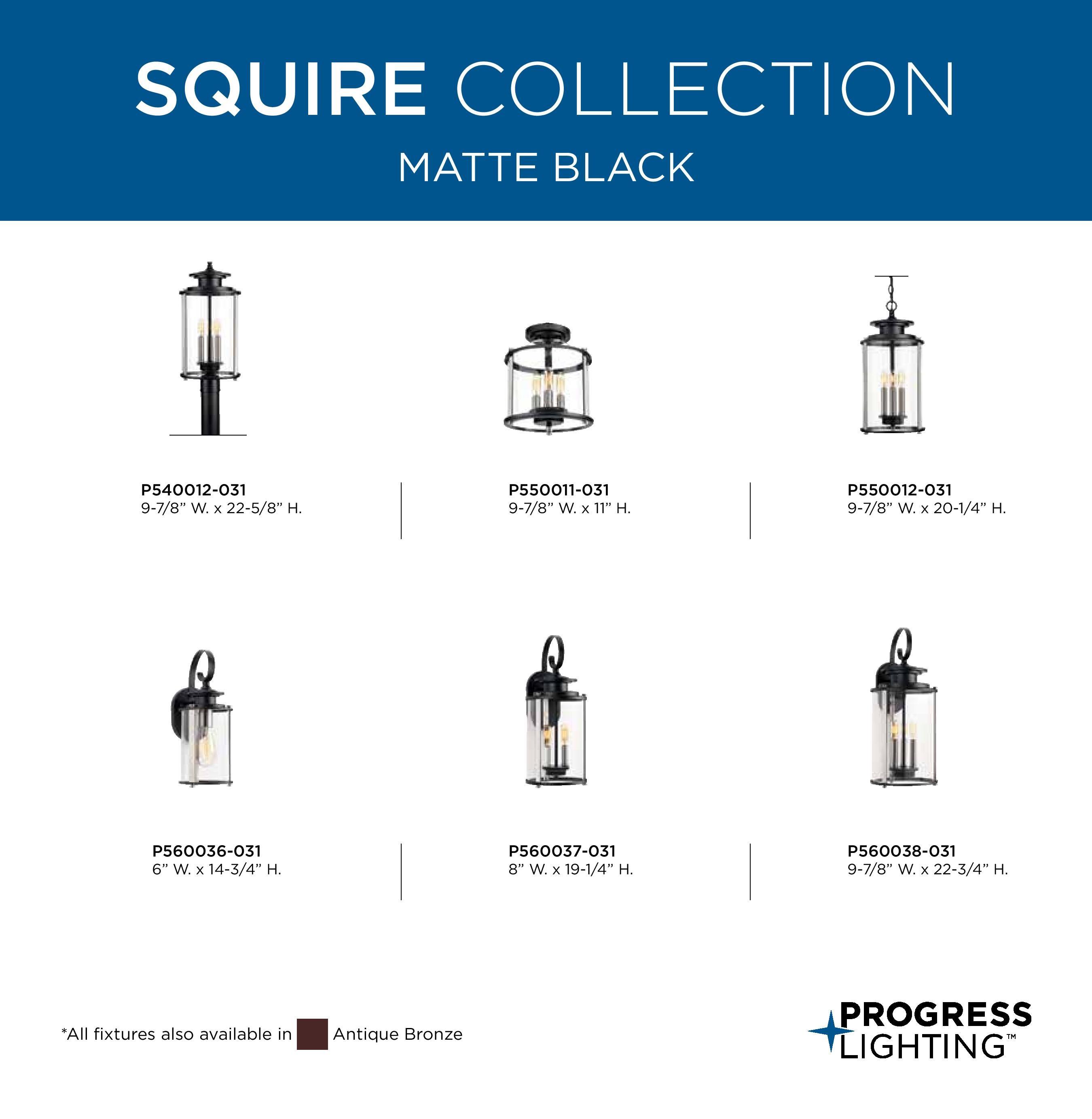 Progress Lighting Squire 3-Light Hanging Lantern, Steel, Black Finish, Clear Glass Shade