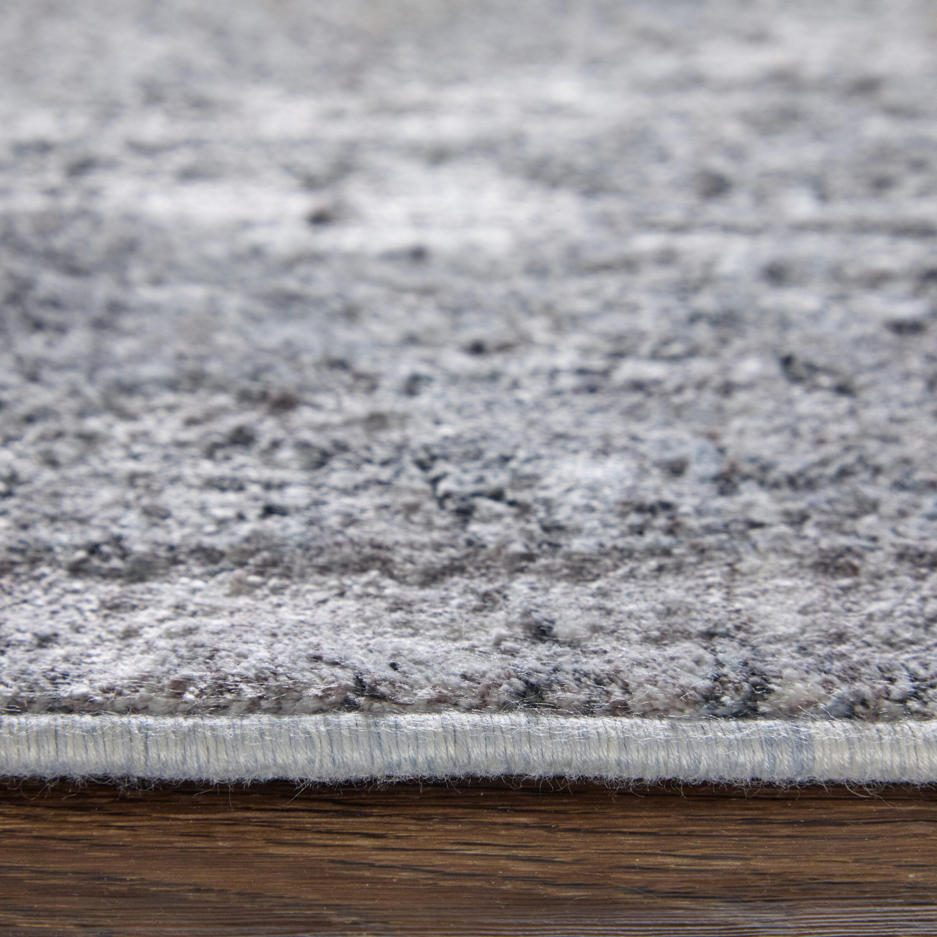 Sarrant Transitional Medallion Gray/Silver/Ivory Area Rug