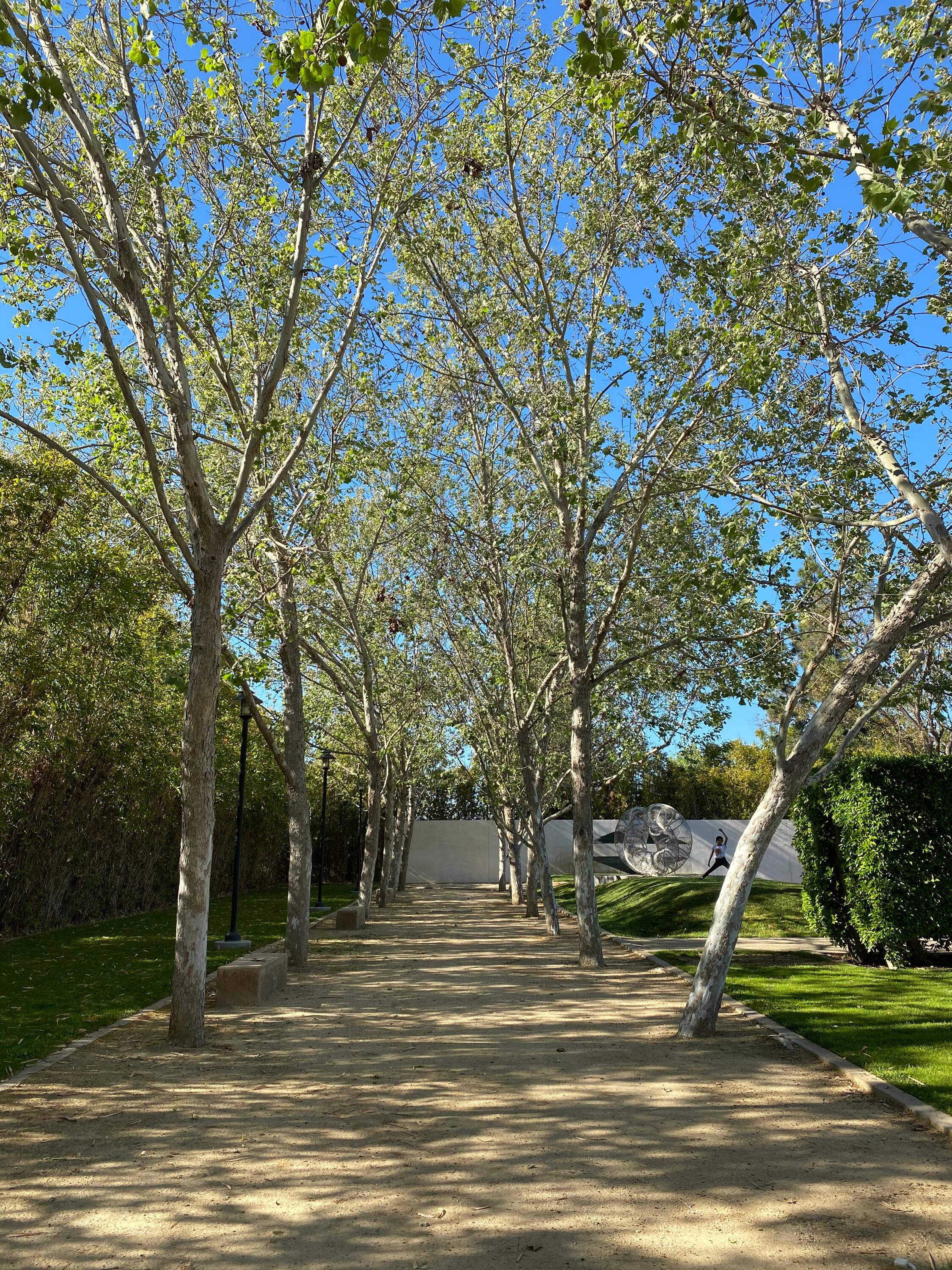 Decomposed Granite, Crushed Gravel DG Pathway Fines for Patio & Landscape