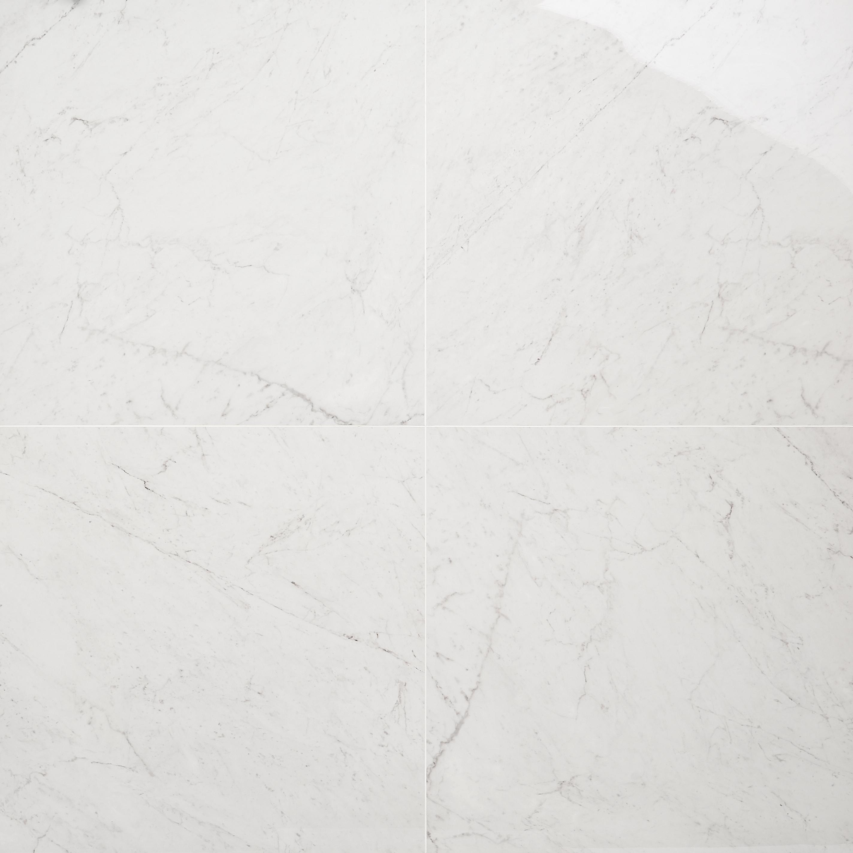 Saroshi 24" x 24" Polished Marble Look Porcelain Floor and Wall Tile (15.5 Sq. Ft. / Case)