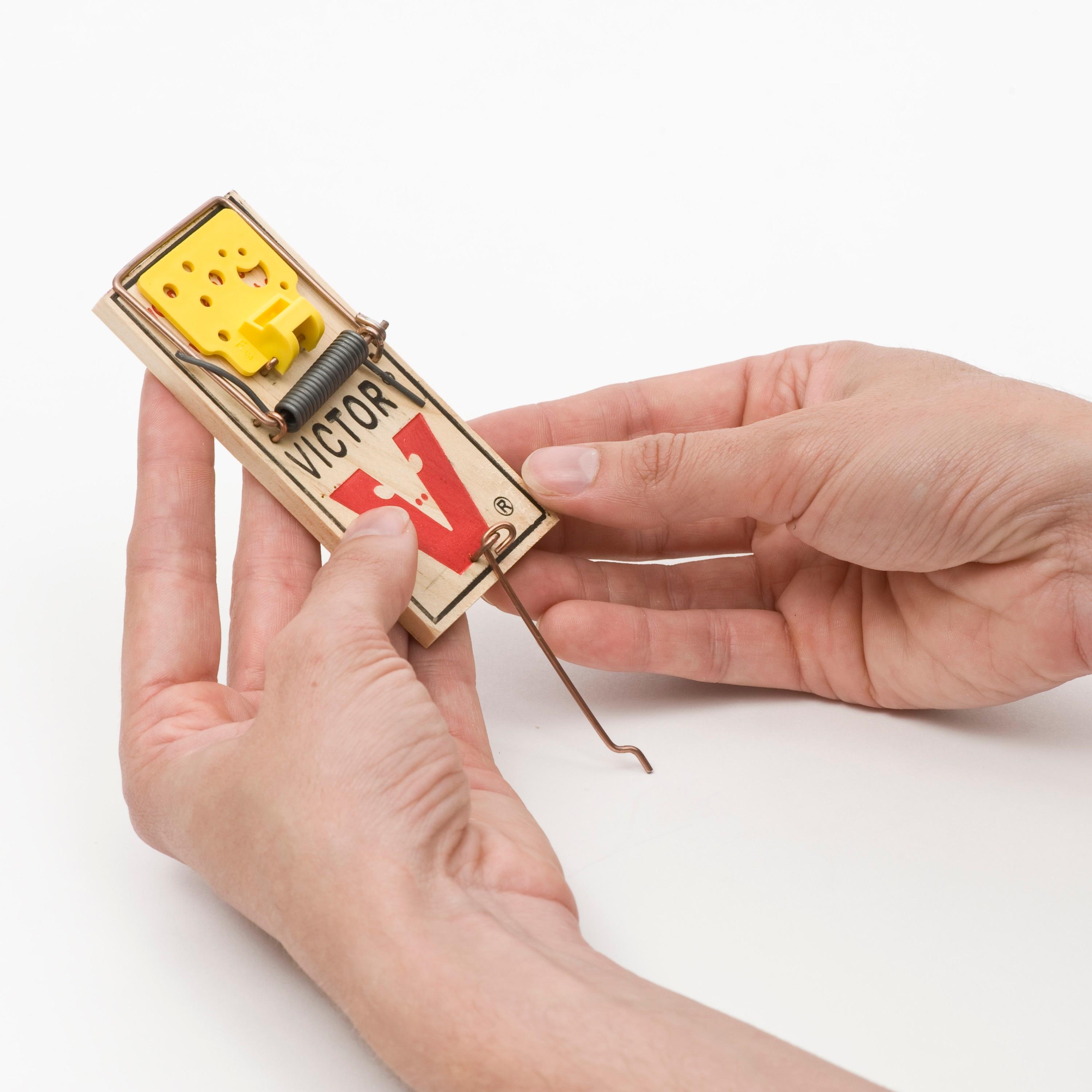 Victor Easy Set Mouse Traps - 2pk