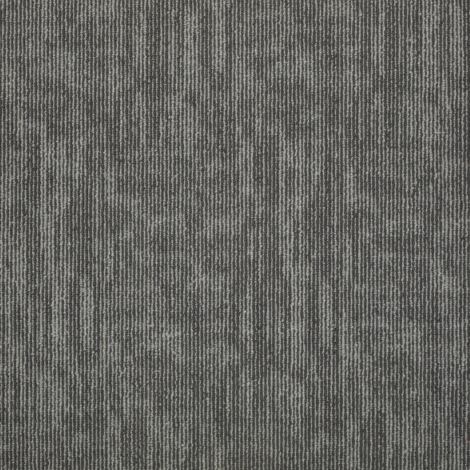 Shaw Apollo 24-in x 24-in Multi-Level Loop Adhesive Carpet Tile (48-sq ft)