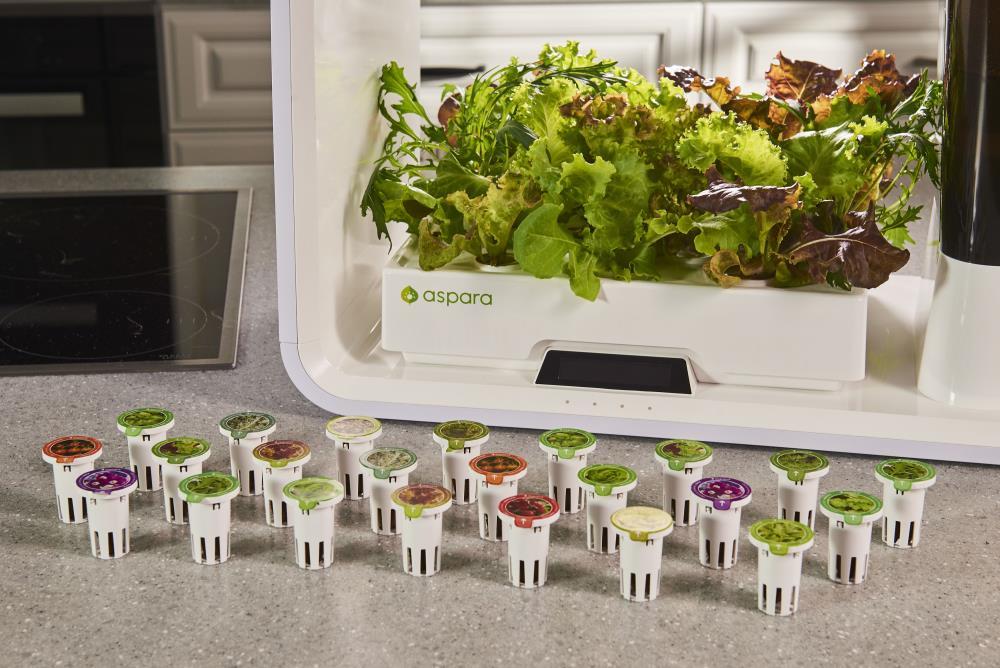 Aspara Aspara Hydroponic Unit