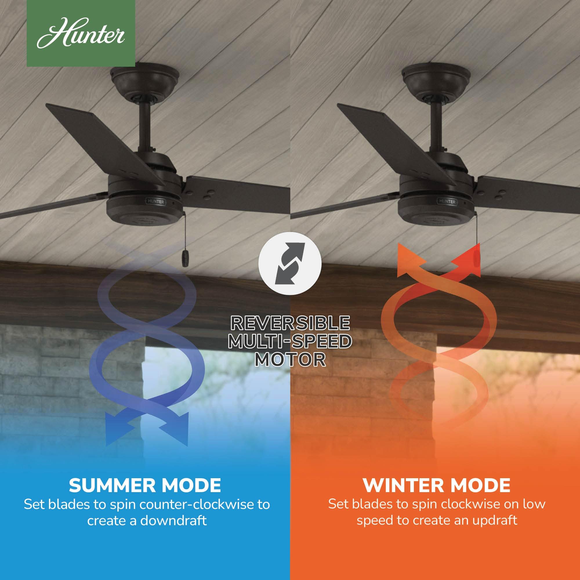 52" Cassius 3 - Blade Outdoor Standard Ceiling Fan with Pull Chain