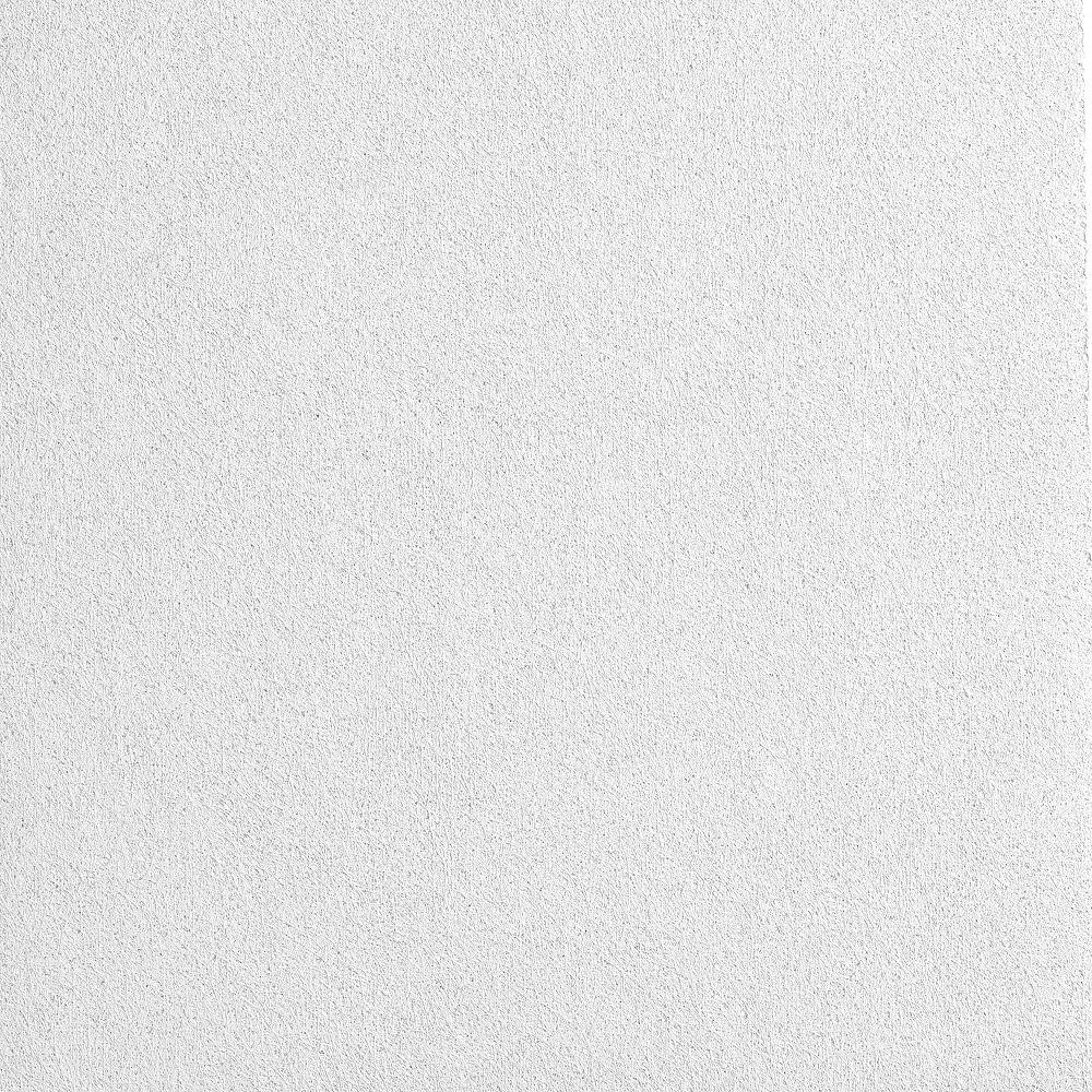 Armstrong Ceilings 2-ft x 2-ft CALLA White Mineral fiber Drop Ceiling Tile ( 10 -Pack, 40-sq ft / Case )