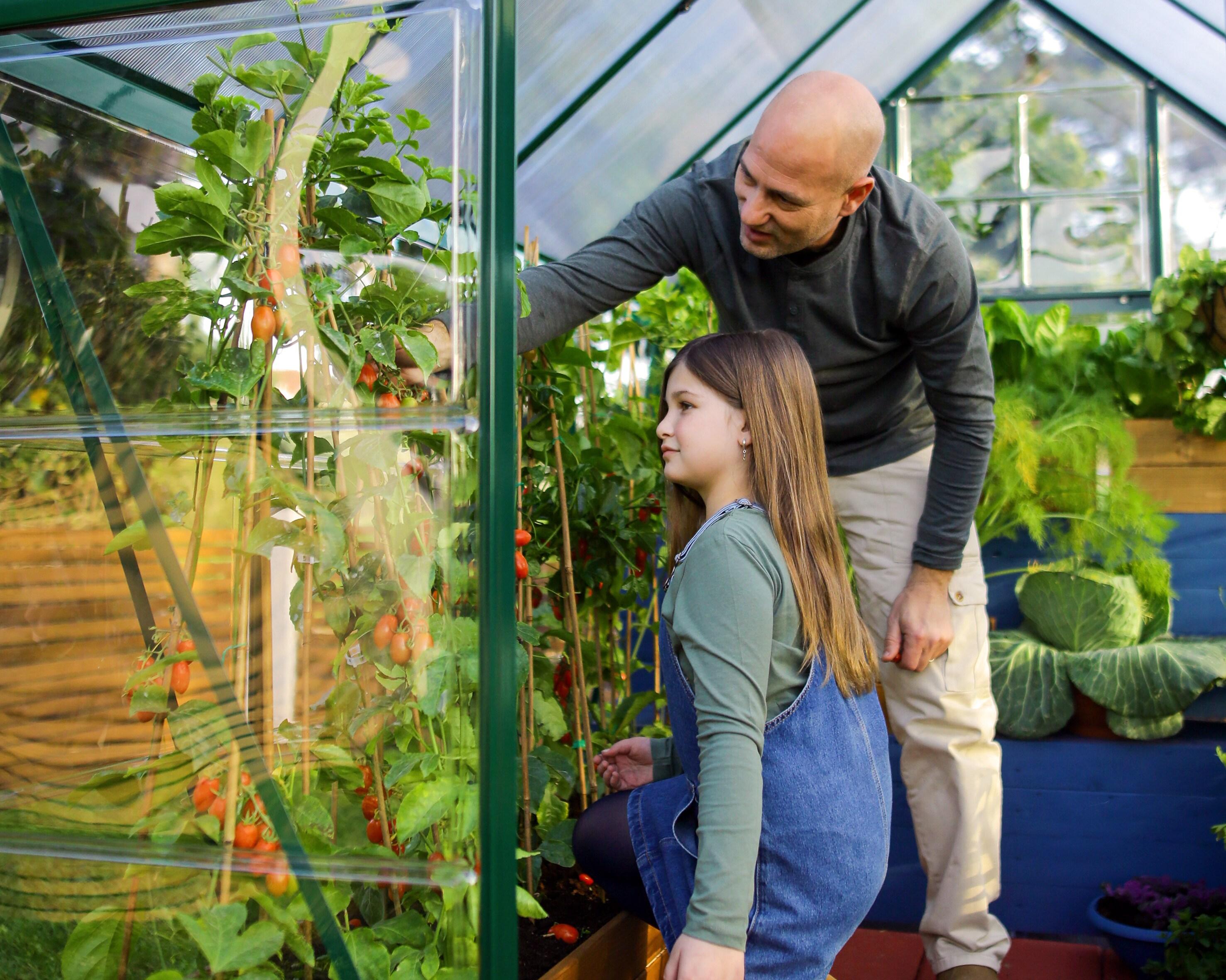 Canopia Palram - Canopia Hybrid 6' W x 4' D Walk-In Hobby Polycarbonate Aluminum Frame Greenhouse Kit with Roof Vent - Green