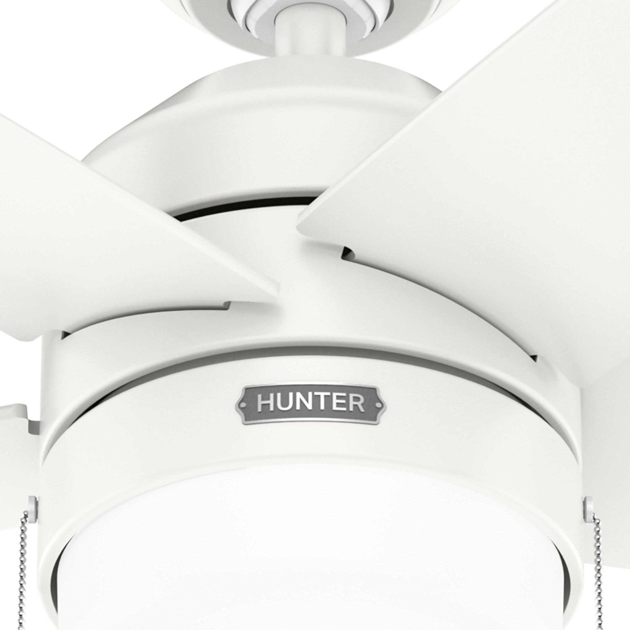 Bardot 52" 5 - Blade Ceiling Fan With Lights and Pull Chains