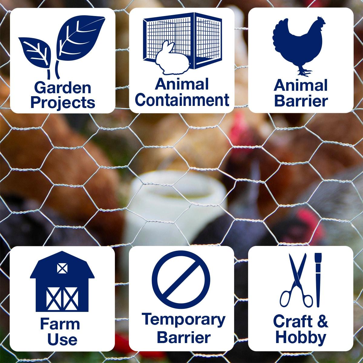 Garden Zone 50 ft. X 48 in. Galvanized Steel Poultry Netting