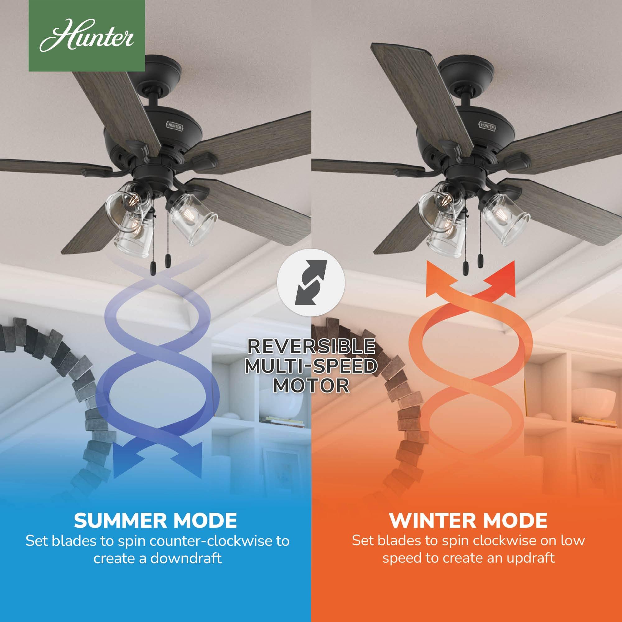 52" Rosner 5 - Blade Ceiling Fan With Lights and Pull Chains