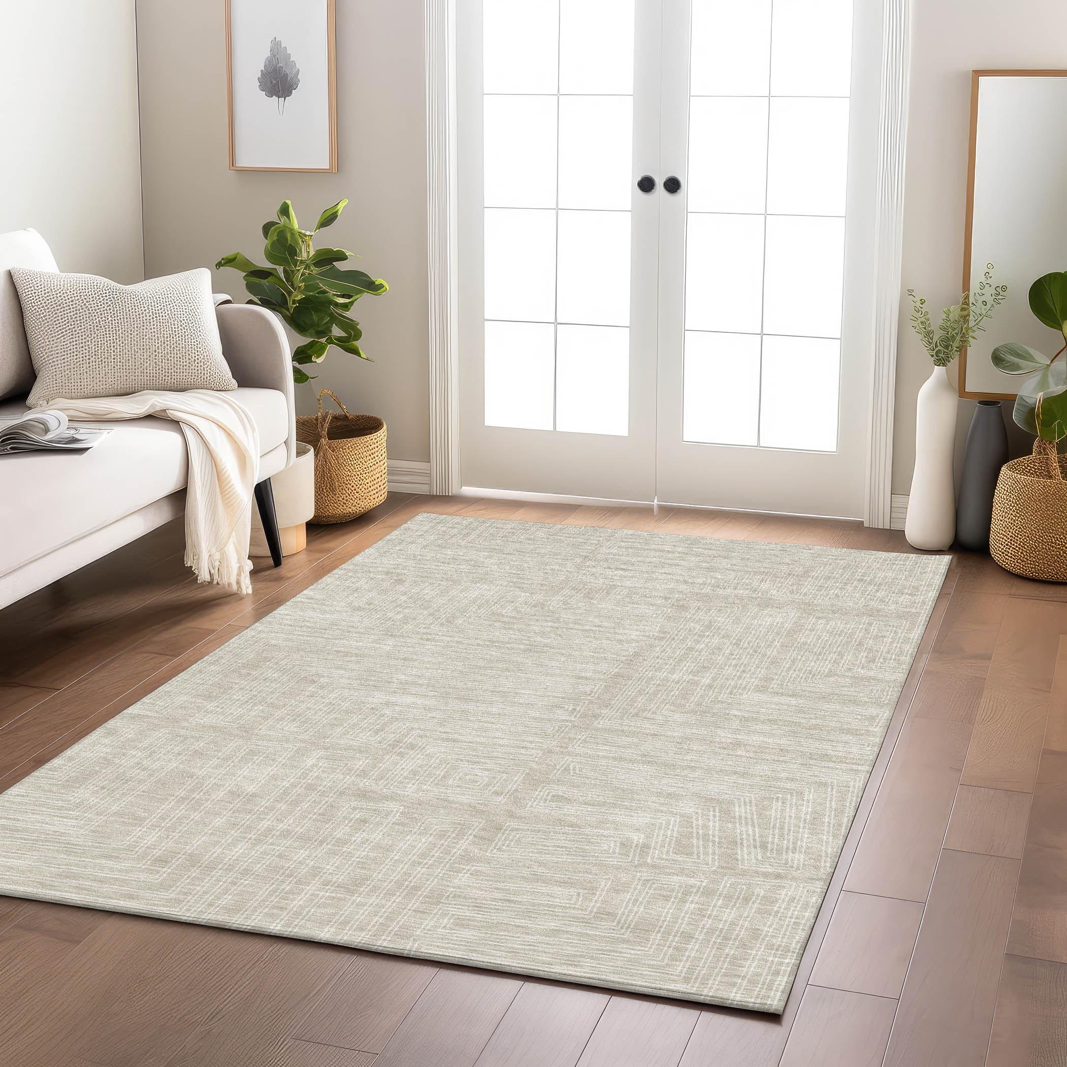 Machine Washable Indoor/Outdoor Chayden ACN1045 Beige Rug