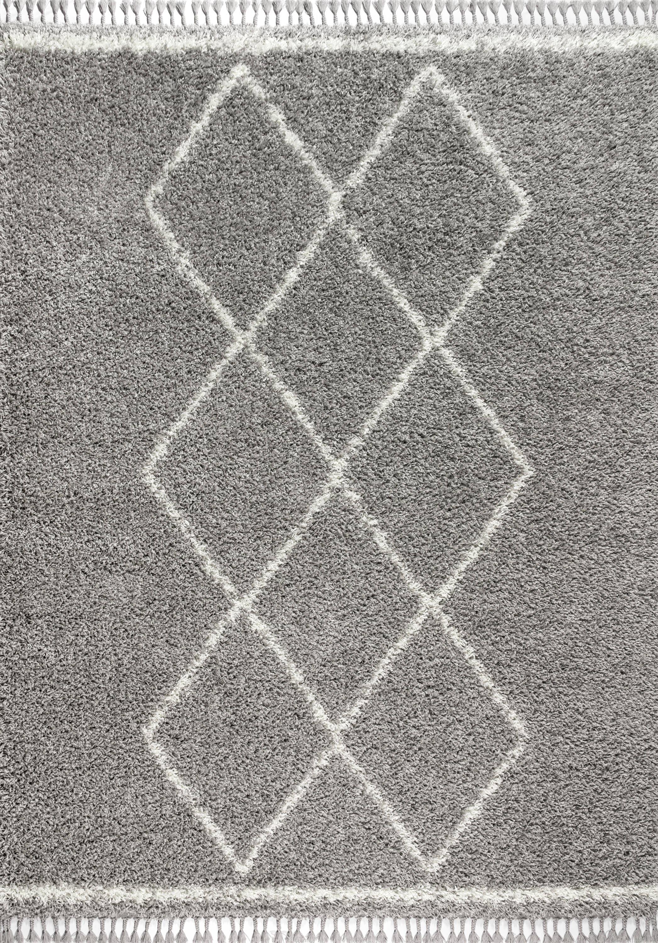 4'x6' Mercer Shag Plush Tassel Moroccan Geometric Trellis Area Rug, Grey/Cream - JONATHAN Y