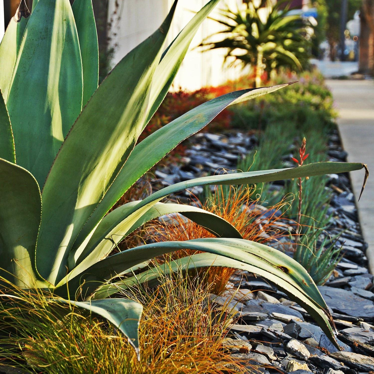 Natural Black and Tan Slate Chips Landscaping Rocks