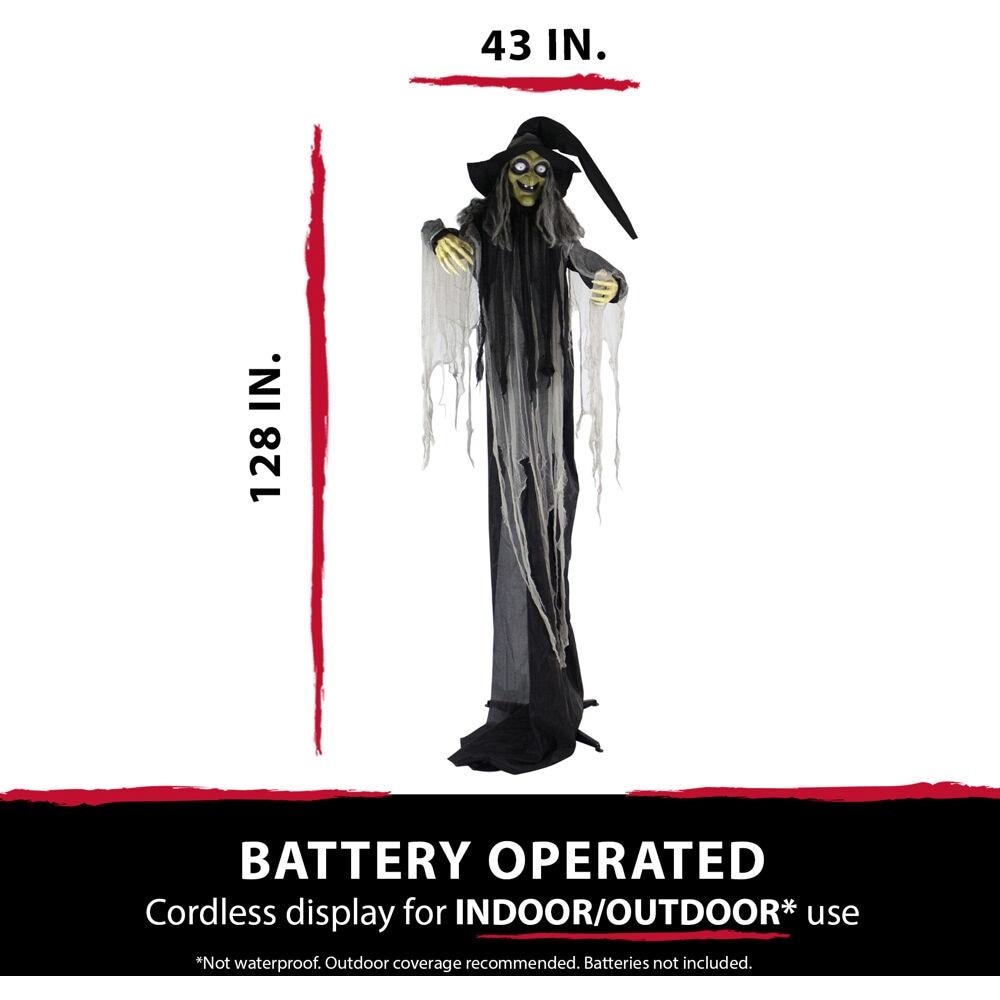 Haunted Hill Farm 9.5-Ft. Animatronic Witch, Indoor or Covered Outdoor Halloween Decoration, Light-up White Eyes, HHWITCH-16FLSA