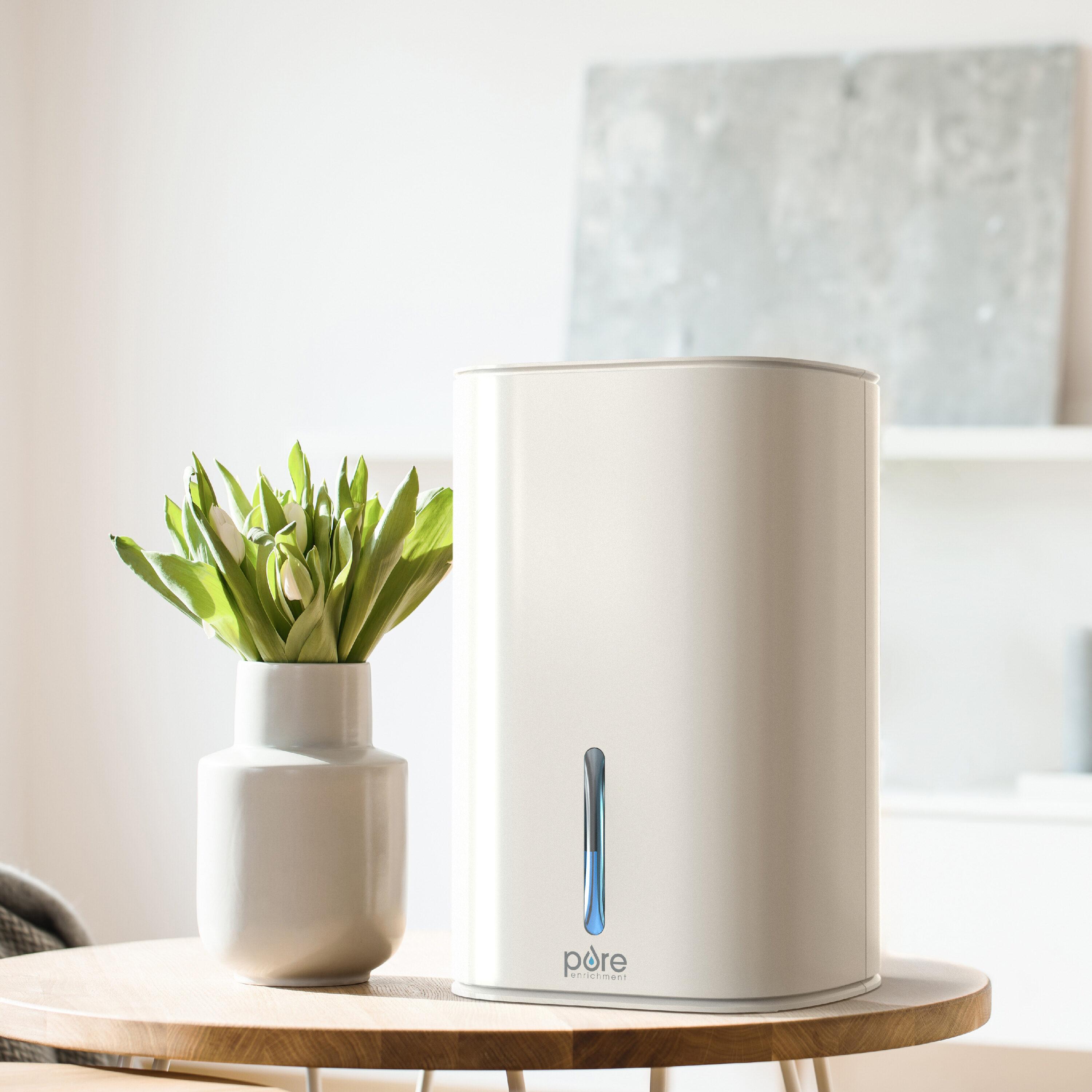Pure Enrichment 0.625 Pint Mini 200 Sq. Ft. Dehumidifier & Reviews | Wayfair