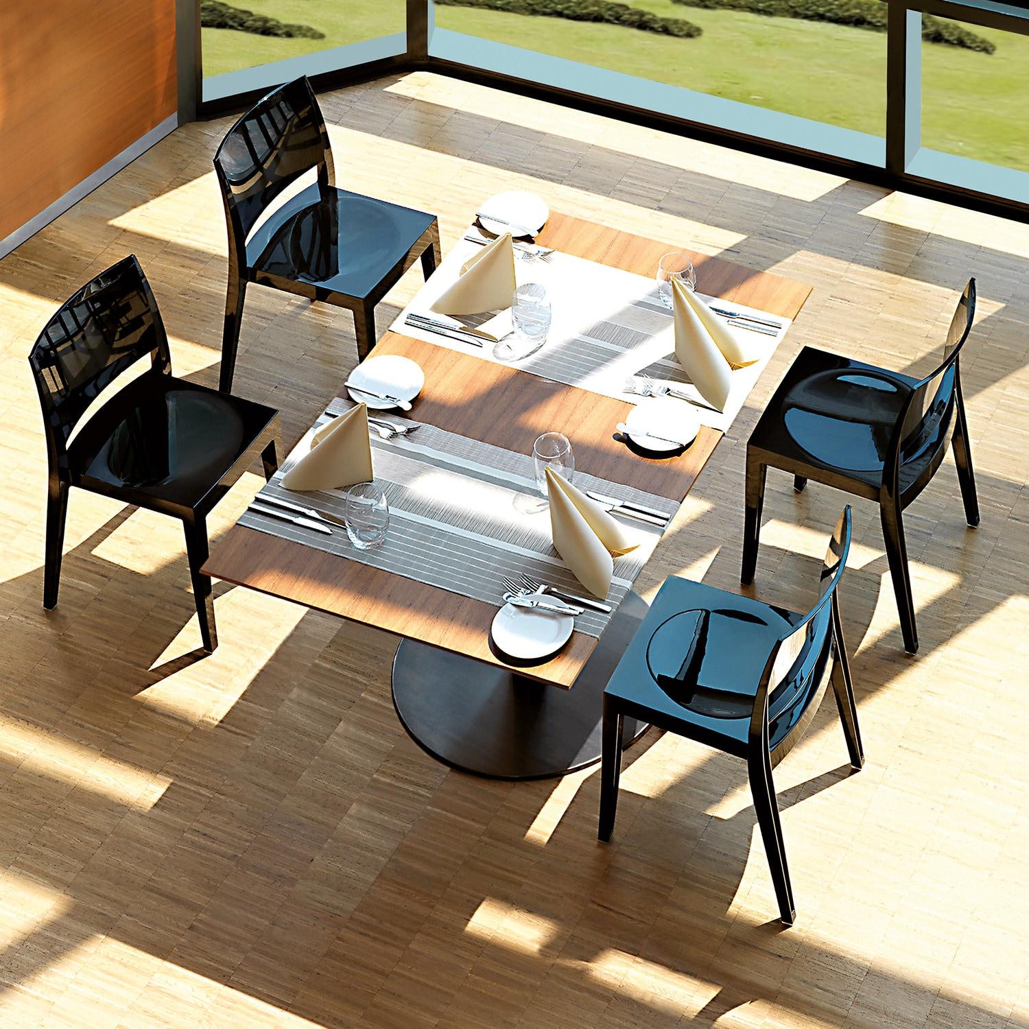 WRGHOME Palermo Modern Outdoor/Indoor Plastic Resin Stacking Patio Dining Chairs (Set of 2) - CLEAR