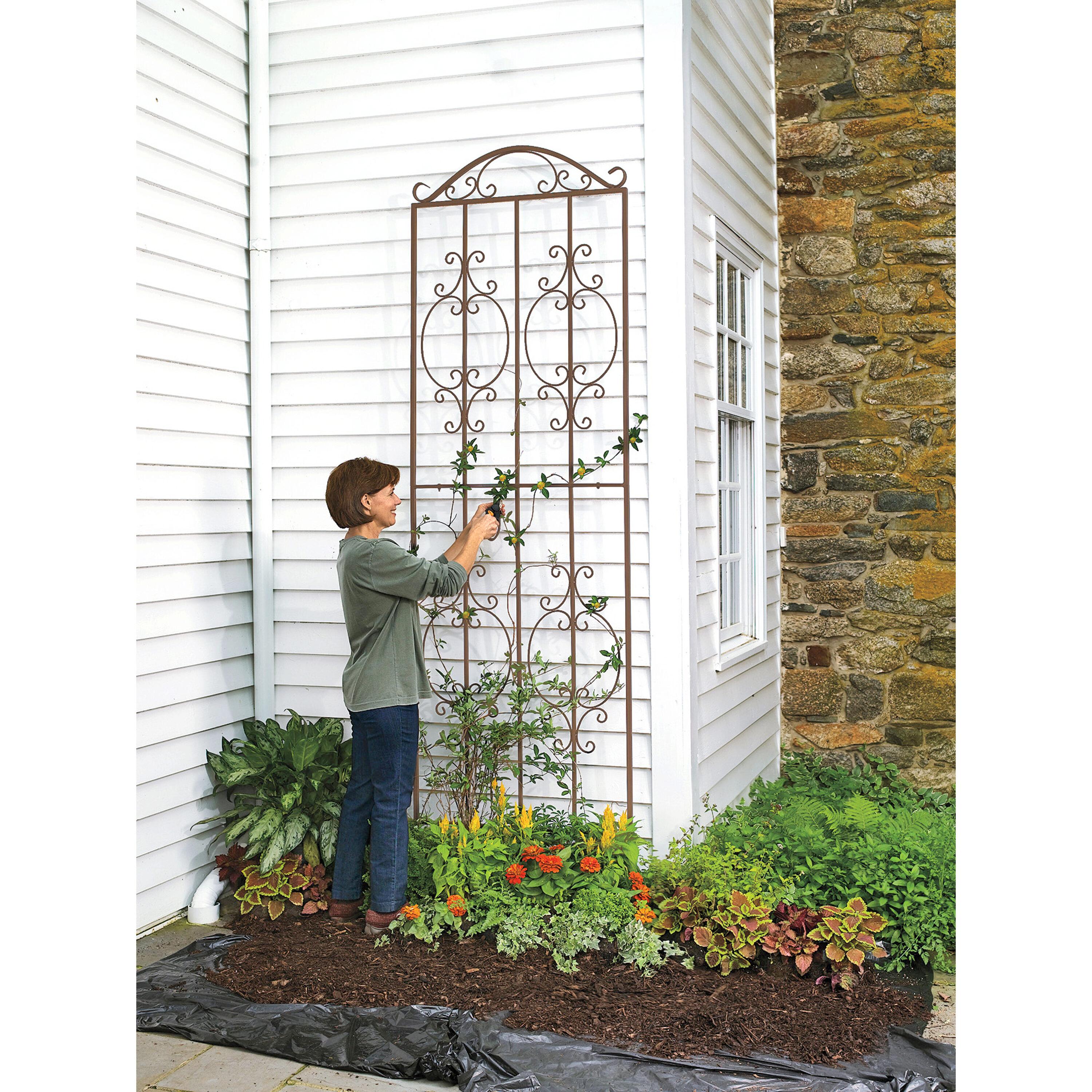 Plow & Hearth Montebello 109'' H x 32'' W Iron Gothic Trellis