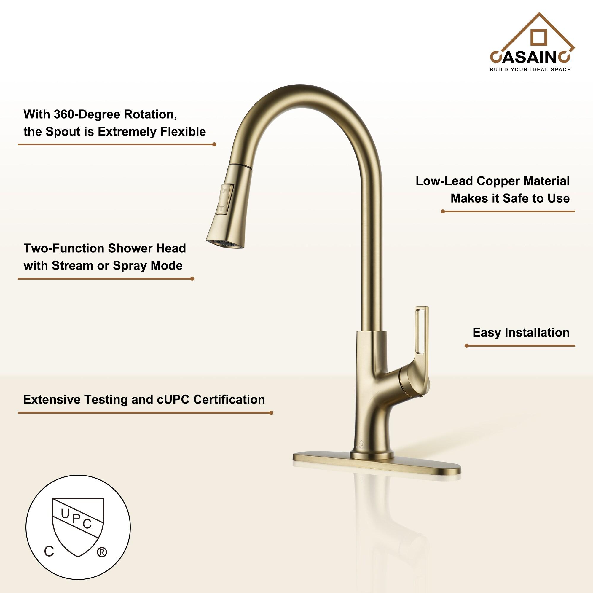 CASAINC CASAINC Single-Handle Pull-Down Kitchen Faucet Single Hole Faucet CA-D4171-BG