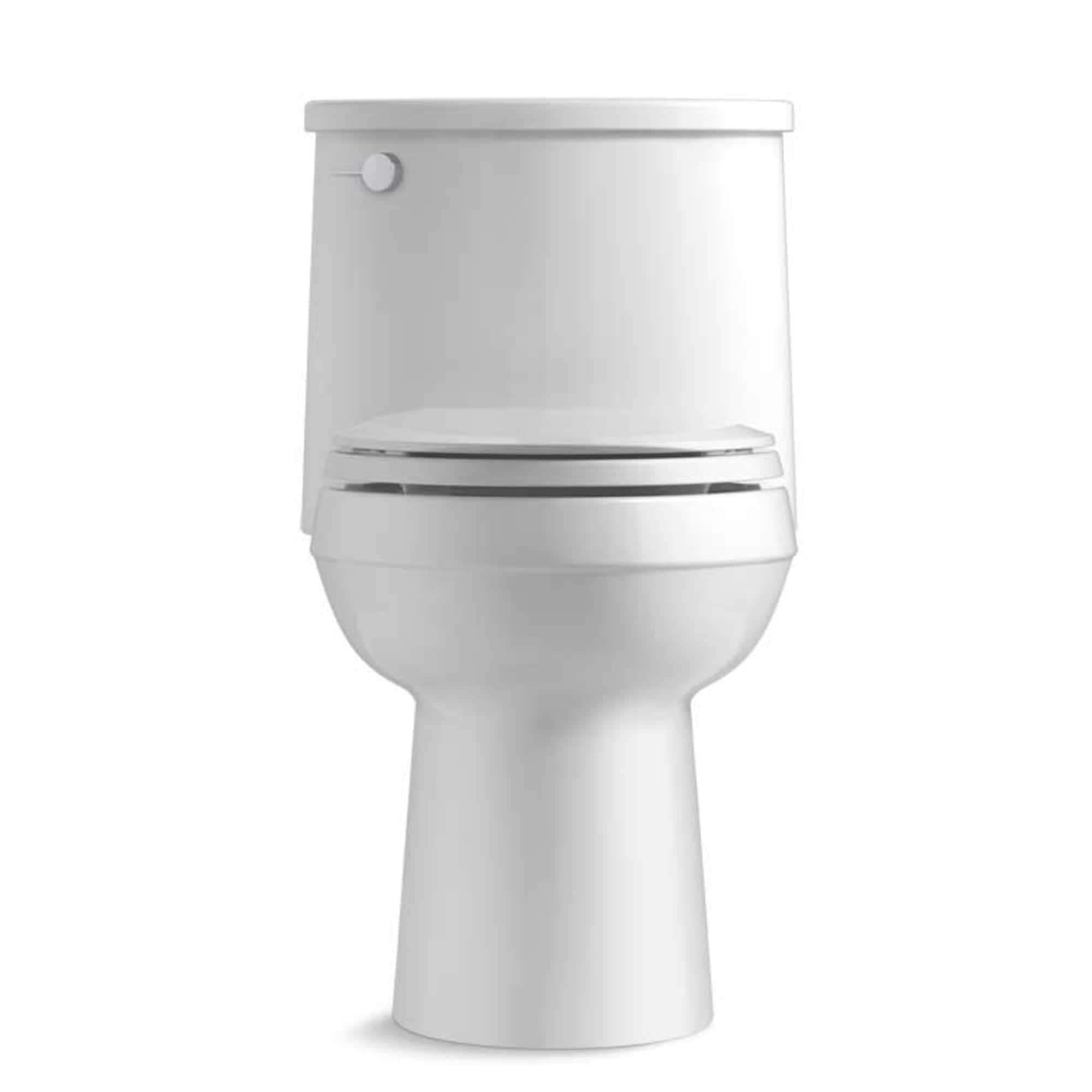 Adair 1.28 GPF Water Efficient Elongated One-Piece toilet (Seat Included)