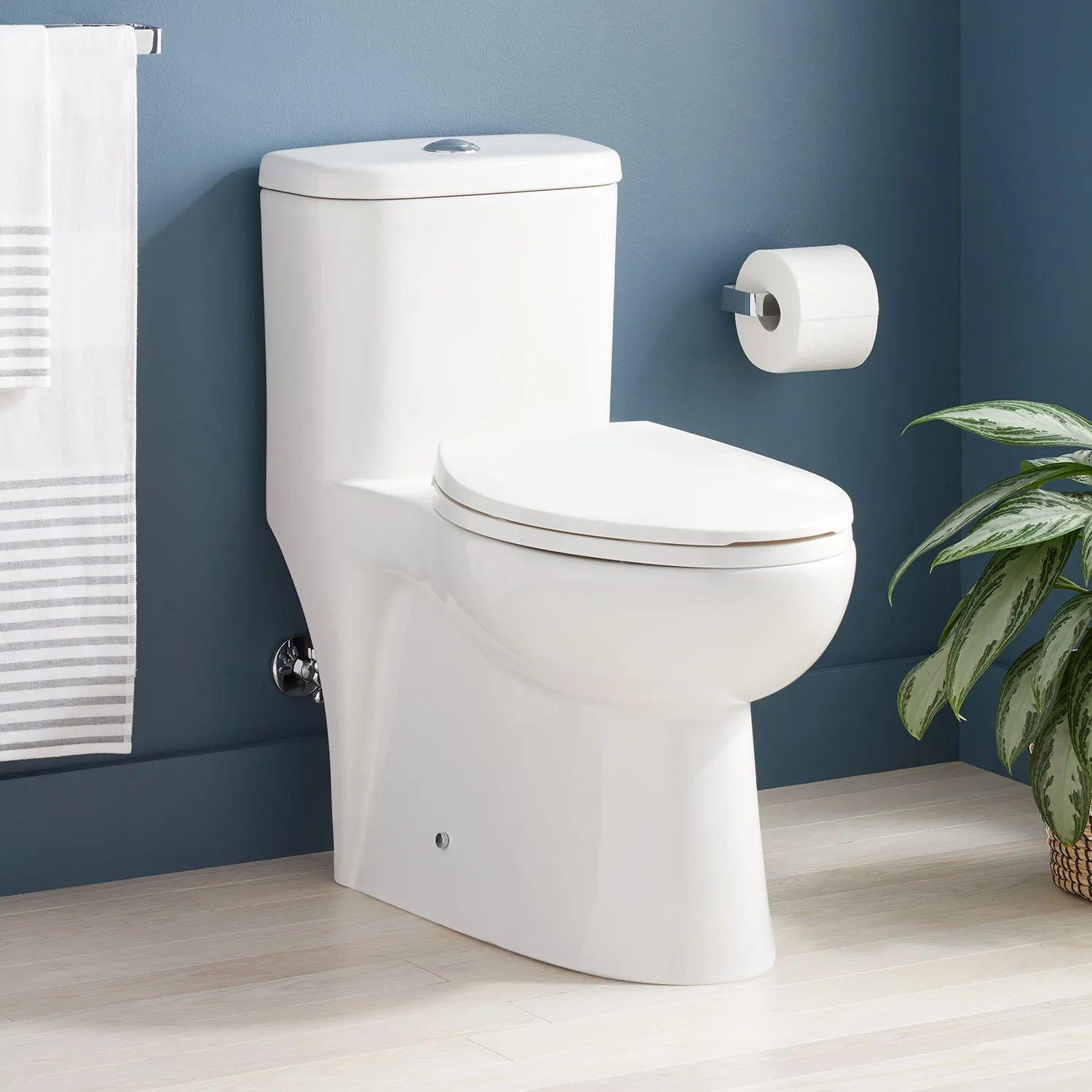 Alledonia White Porcelain One-Piece Elongated Toilet