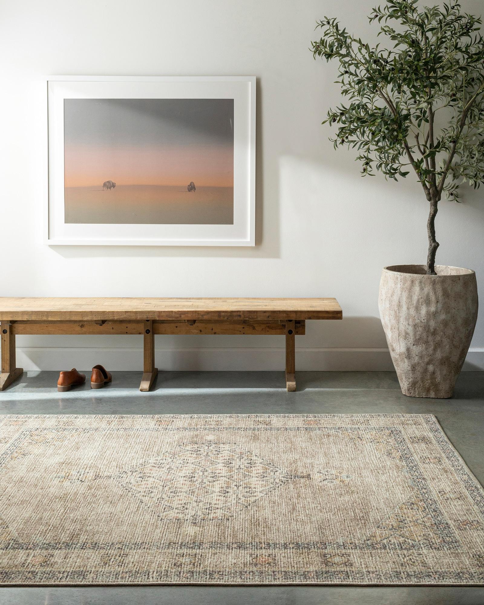 Becki Owens x Livabliss Lila Machine Woven Area Rug