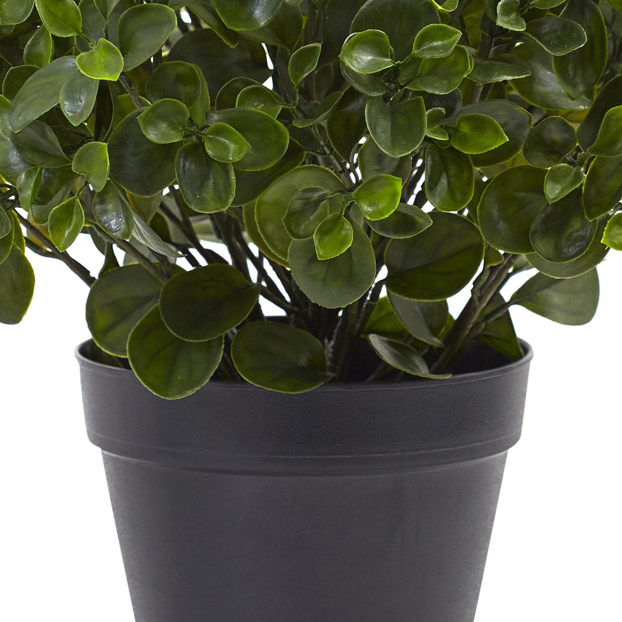 Nearly Natural 23 in. Peperomia Plant UV Resistant (Indoor/Outdoor)