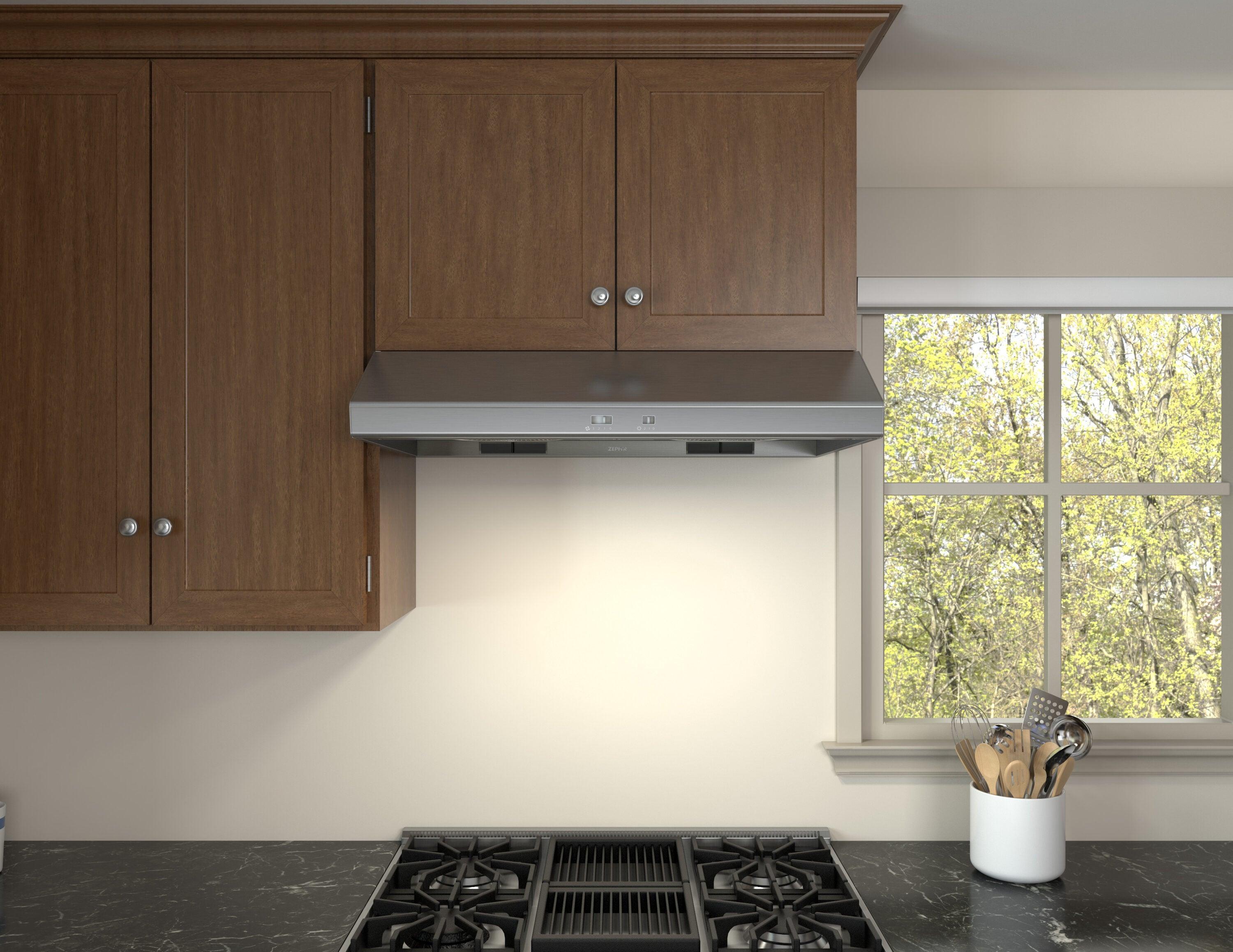 Zephyr Zephyr Cyclone 42" 600 CFM Under Cabinet Range Hood in Stainless Steel