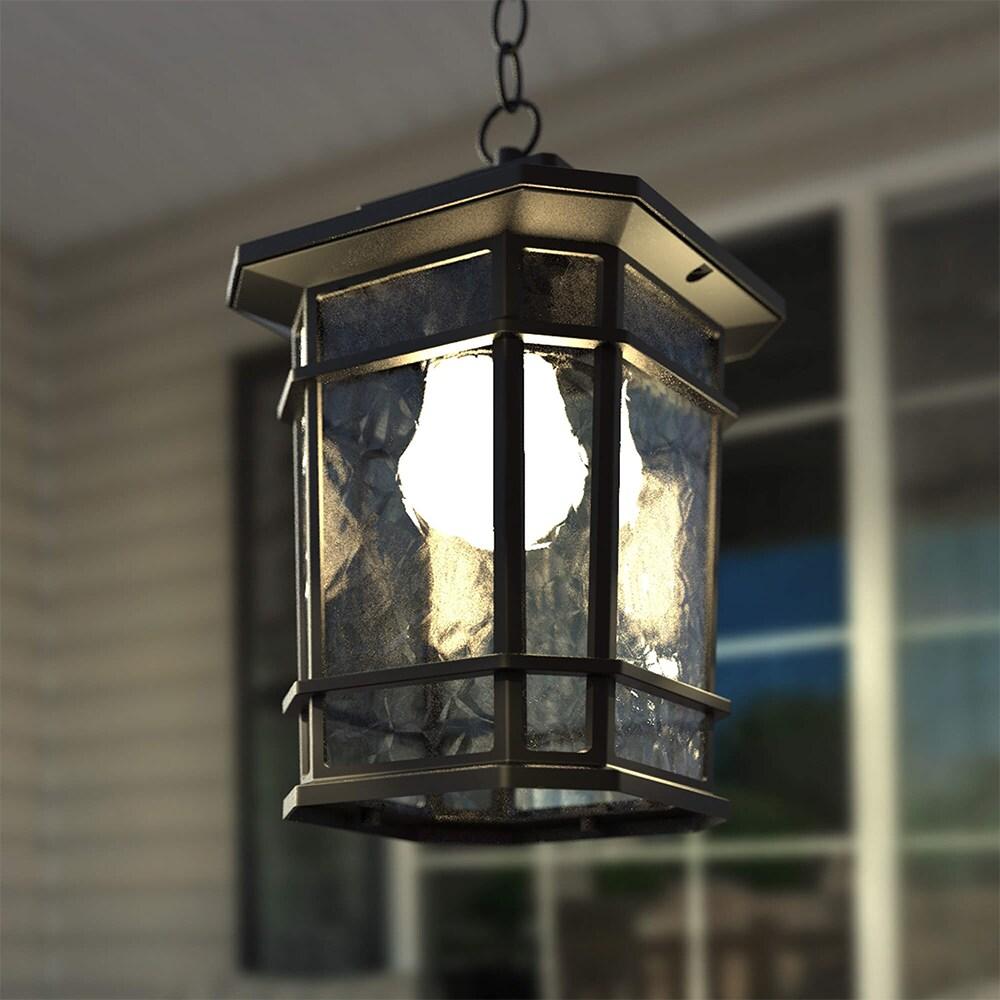 Williams 1- Light Black 14" H Glass Outdoor Hanging Lantern (Bulb Included)