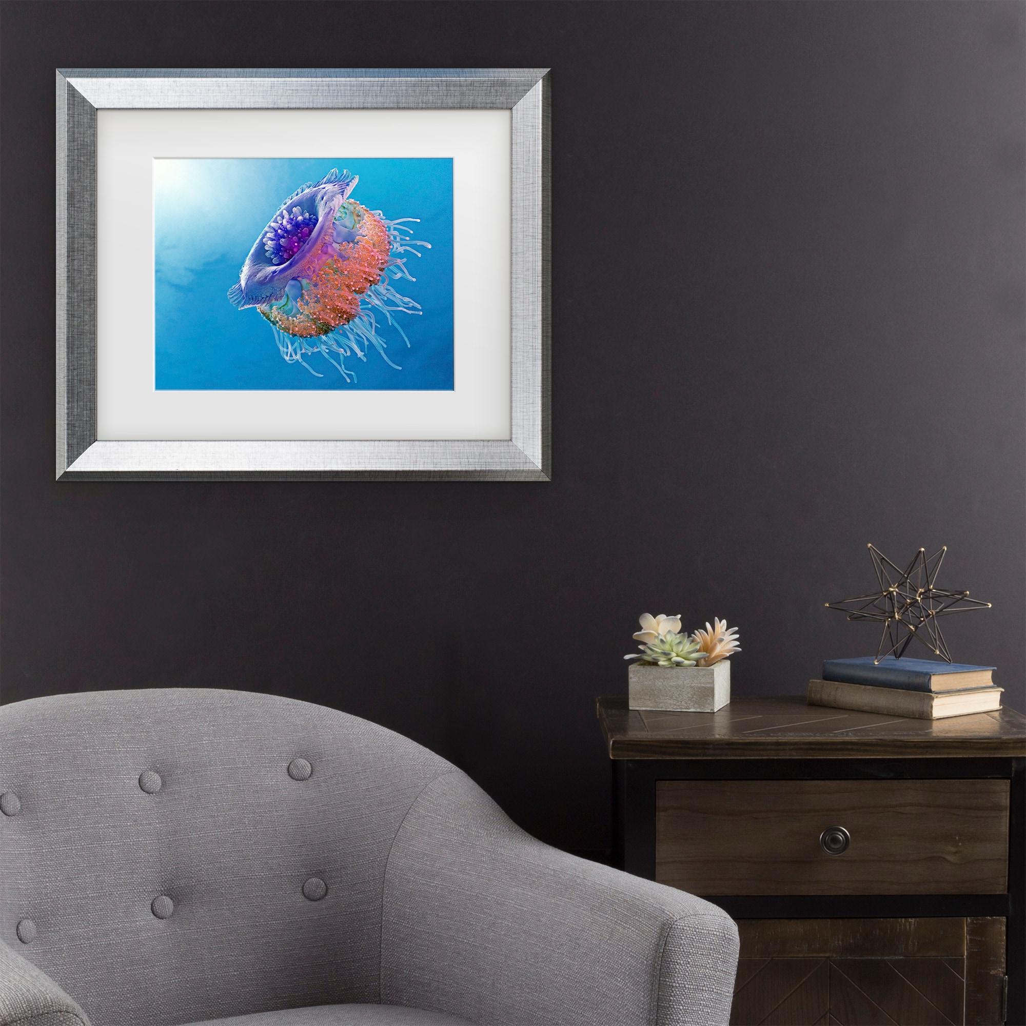 Trademark Fine Art - Henry Jager Crown Jellyfish Matted Framed Art - 11x14