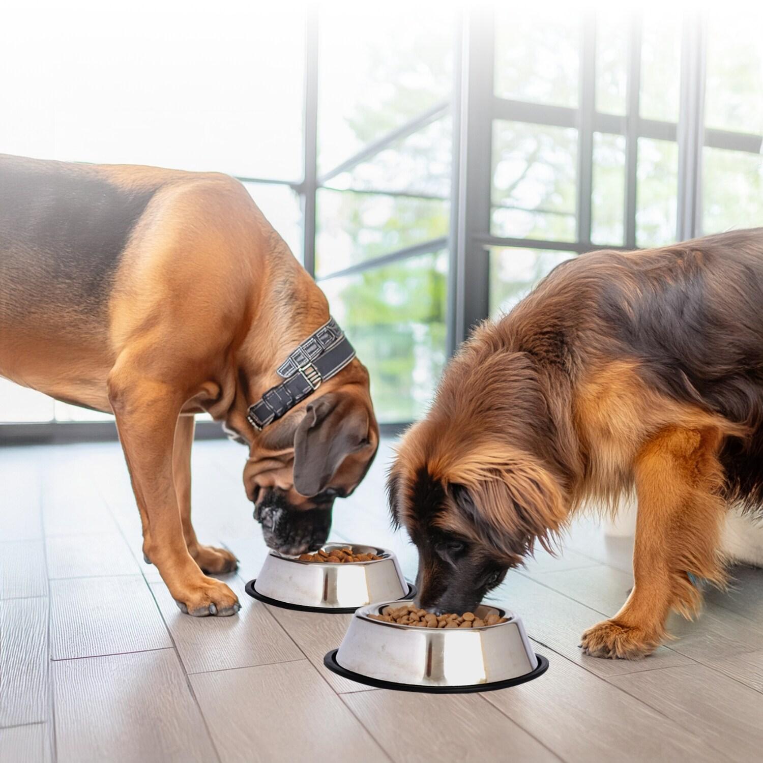 2 Cups Anti-Skid Pet Bowl (Set of 2)