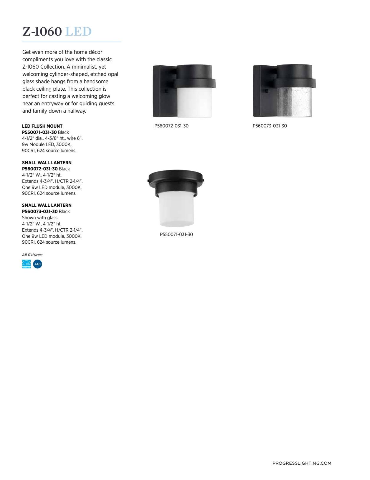 Progress Lighting Z-1060 1-Light Outdoor Wall Light, Black Finish, Glass Shade