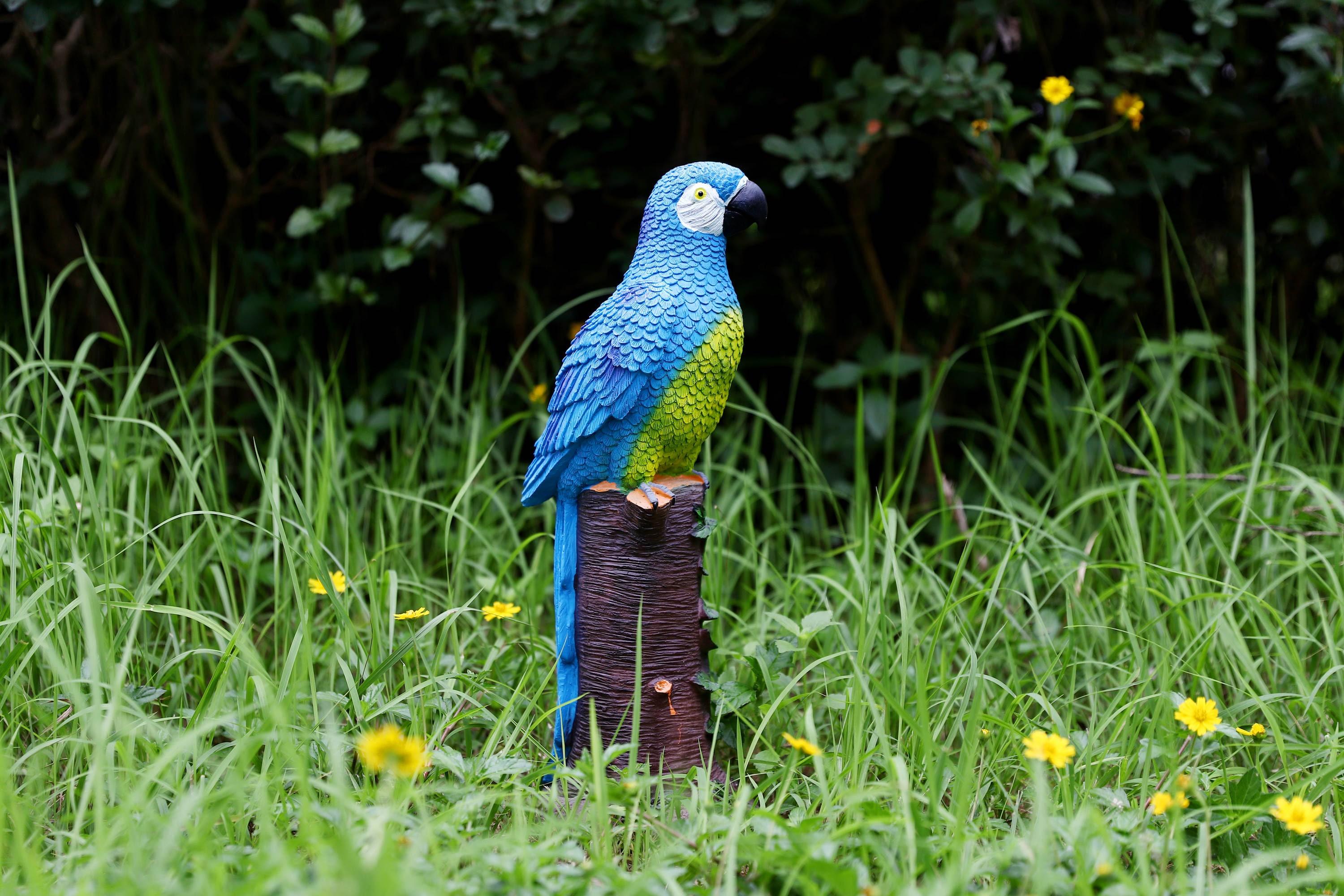 Techko Blue Parrot Statue with Solar Spotlight