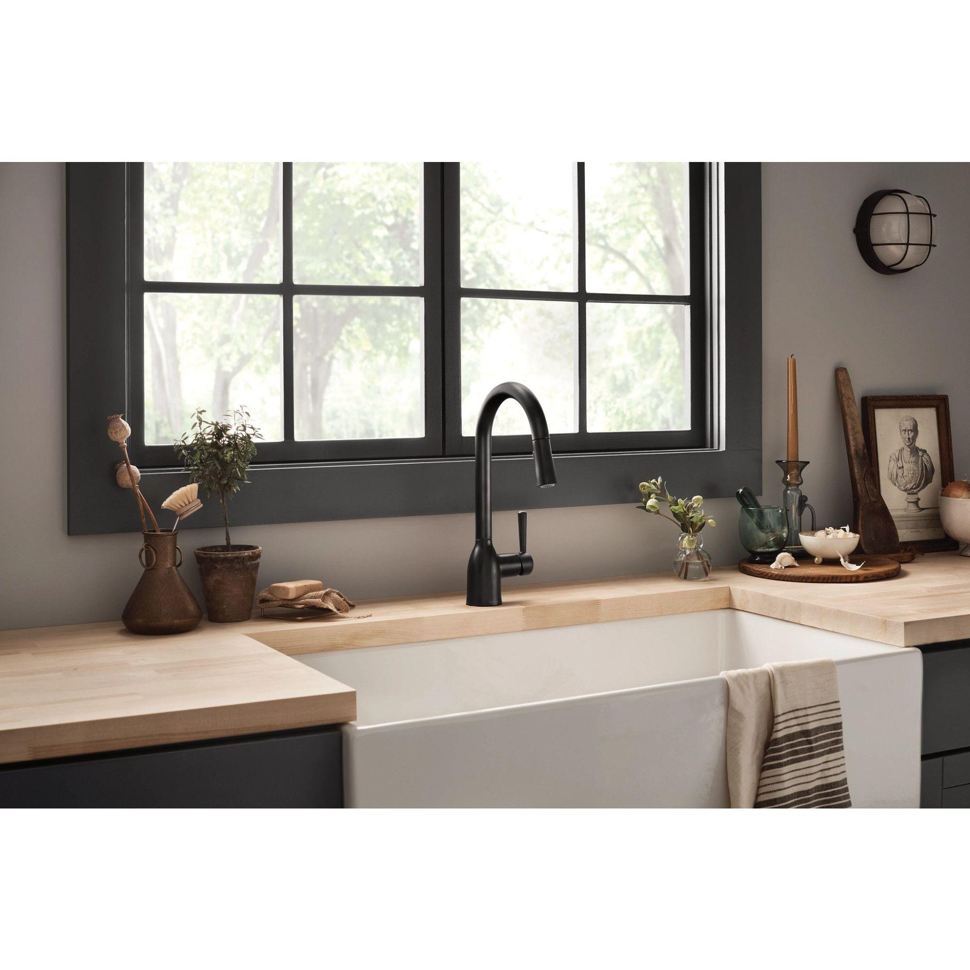 Matte Black Stainless Steel Pull-Out Spray Kitchen Faucet