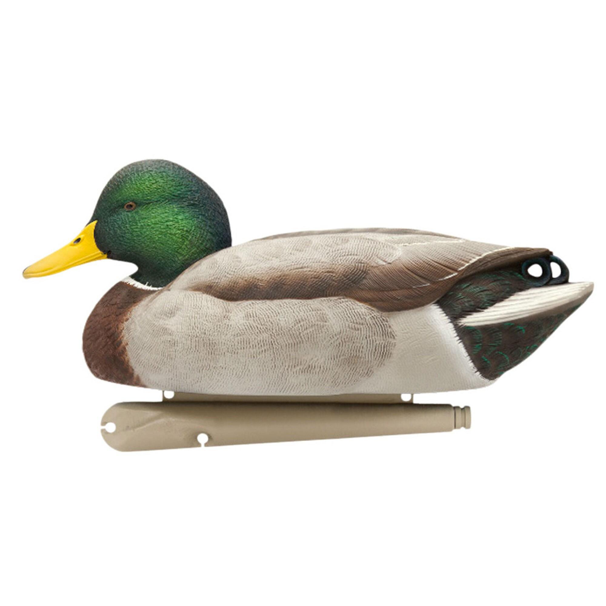 Open Box Avian X Early Season Mallard Duck Realistic Decoys, Multicolor, 6pk