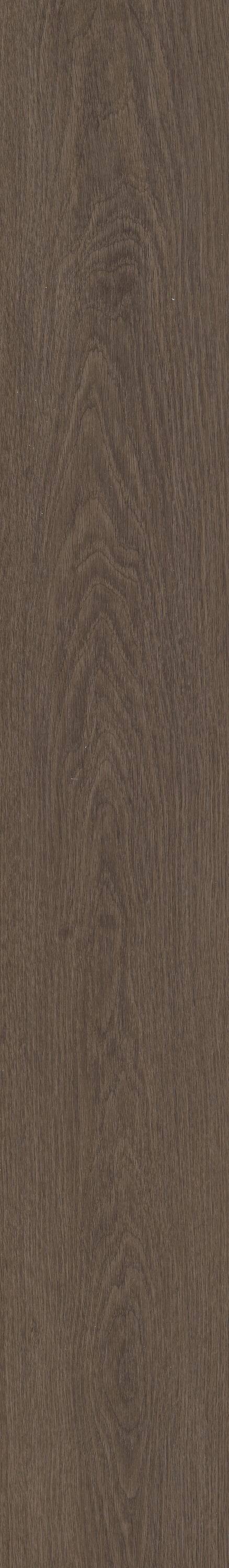 Shaw Stabilitas 7-mm x 7-in W x 48-in L Waterproof Luxury Vinyl Plank Flooring